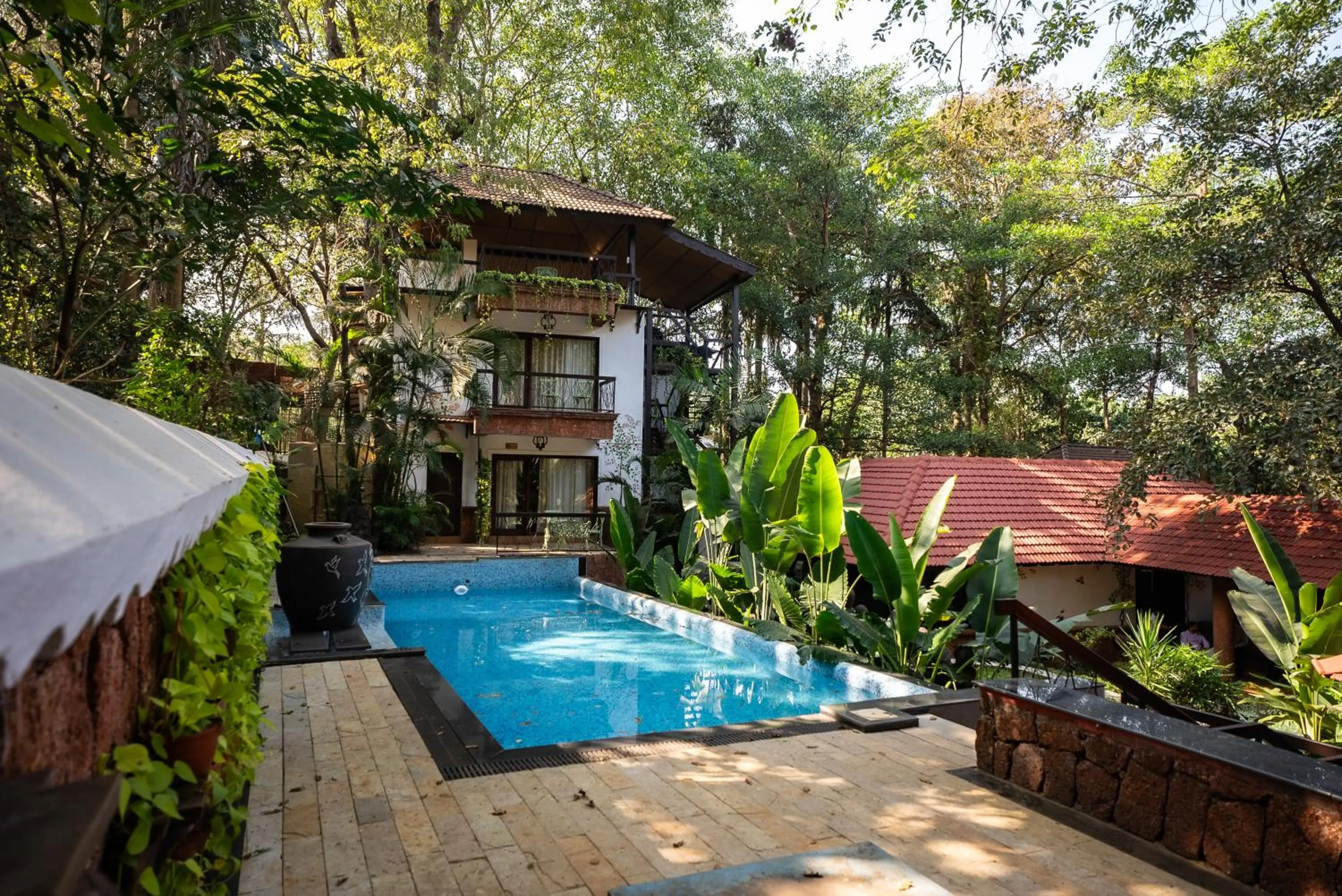 Swimming pool in Brij Paraiso Saligao, Goa - An Indo-Portuguese Villa