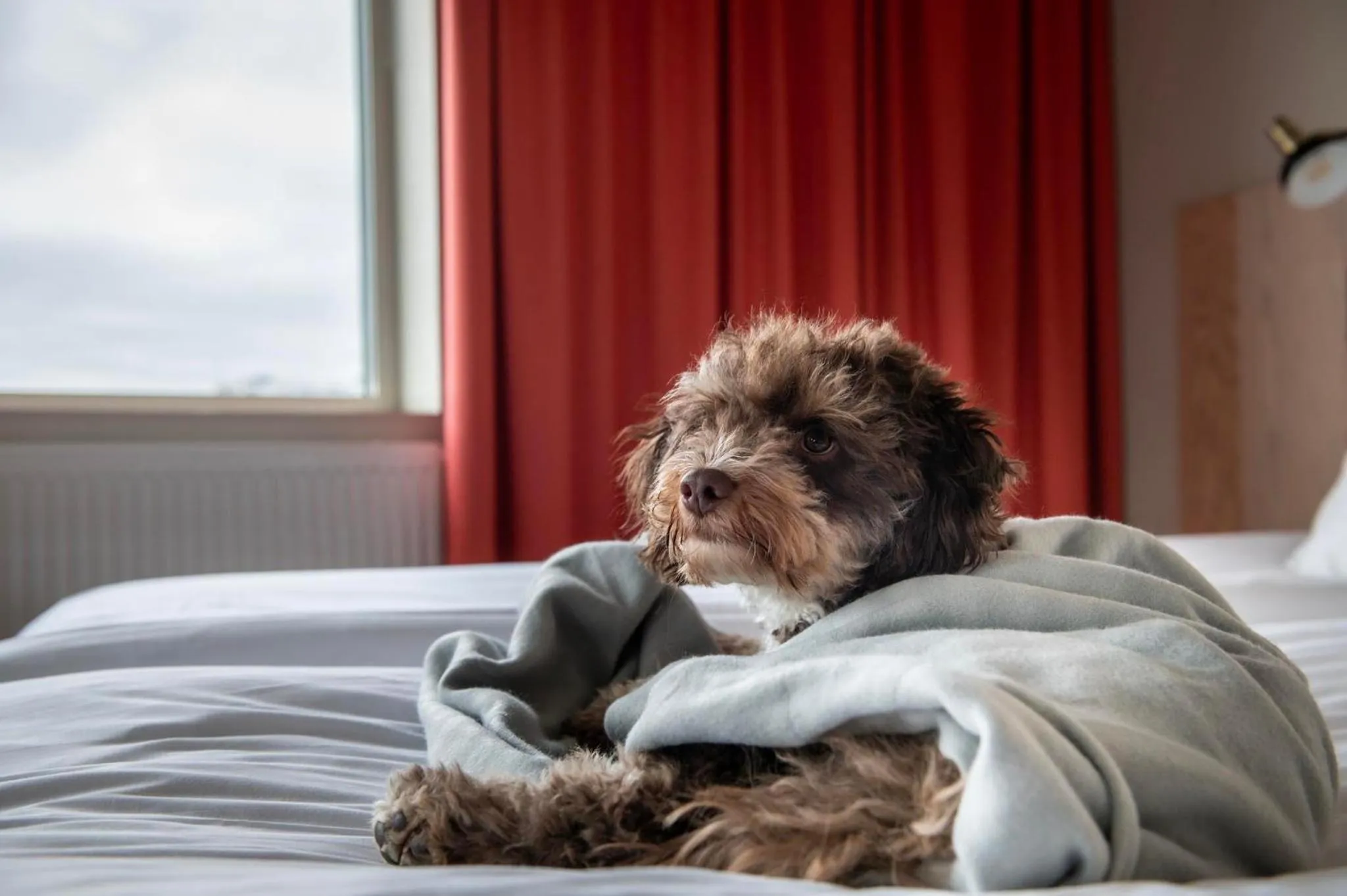 Property building in Kviberg Park Hotel & Conference