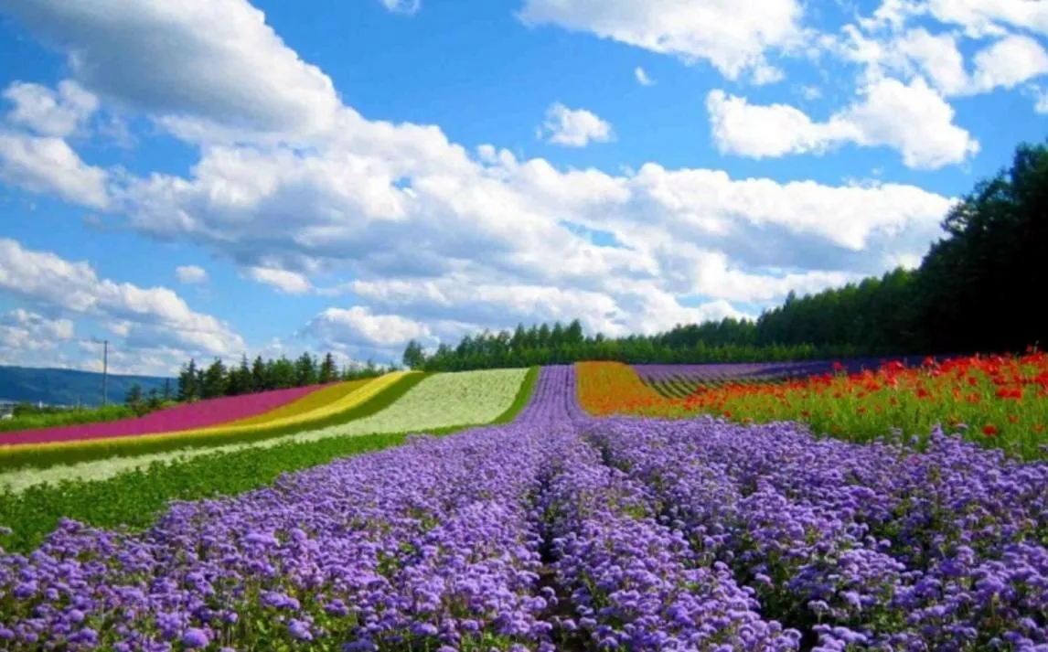 Nearby landmark in Pho Nui Hotel