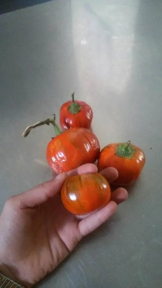 Food close-up in B&B Lo Scoiattolo del Pollino