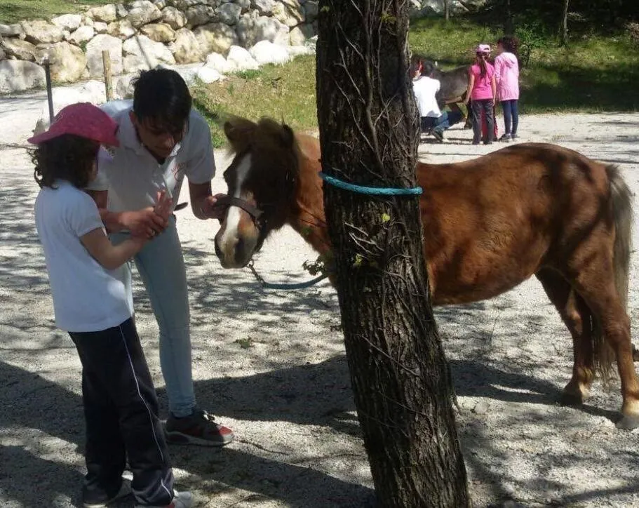 Horse-riding in B&B Lo Scoiattolo del Pollino