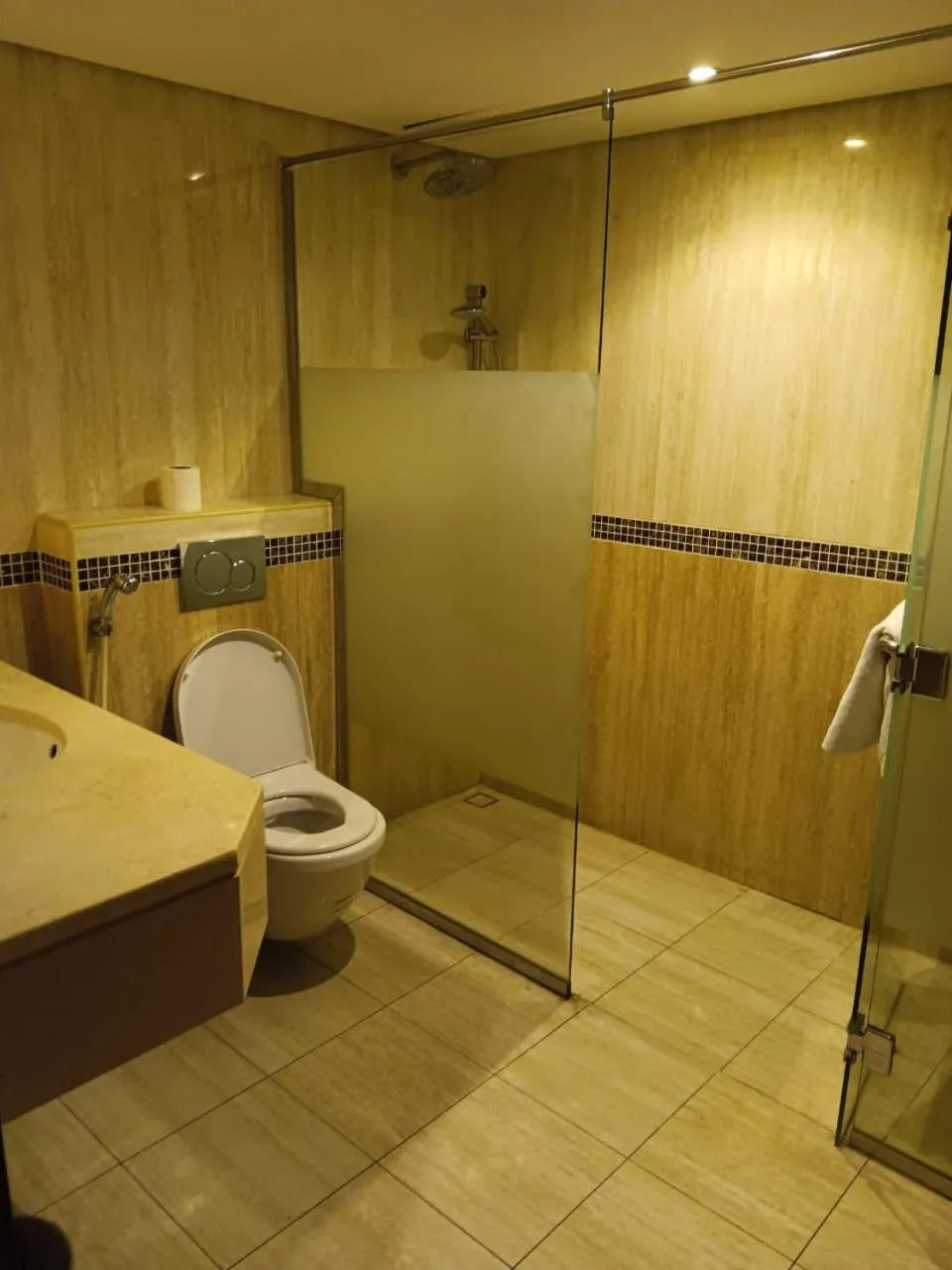 Shower in helnan royal hotel دبي