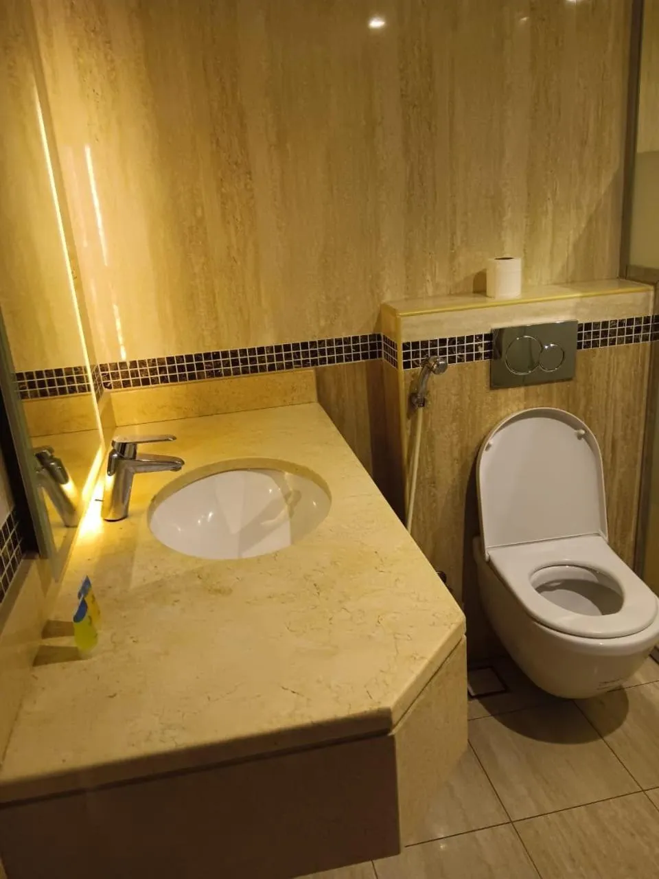 helnan royal hotel دبي