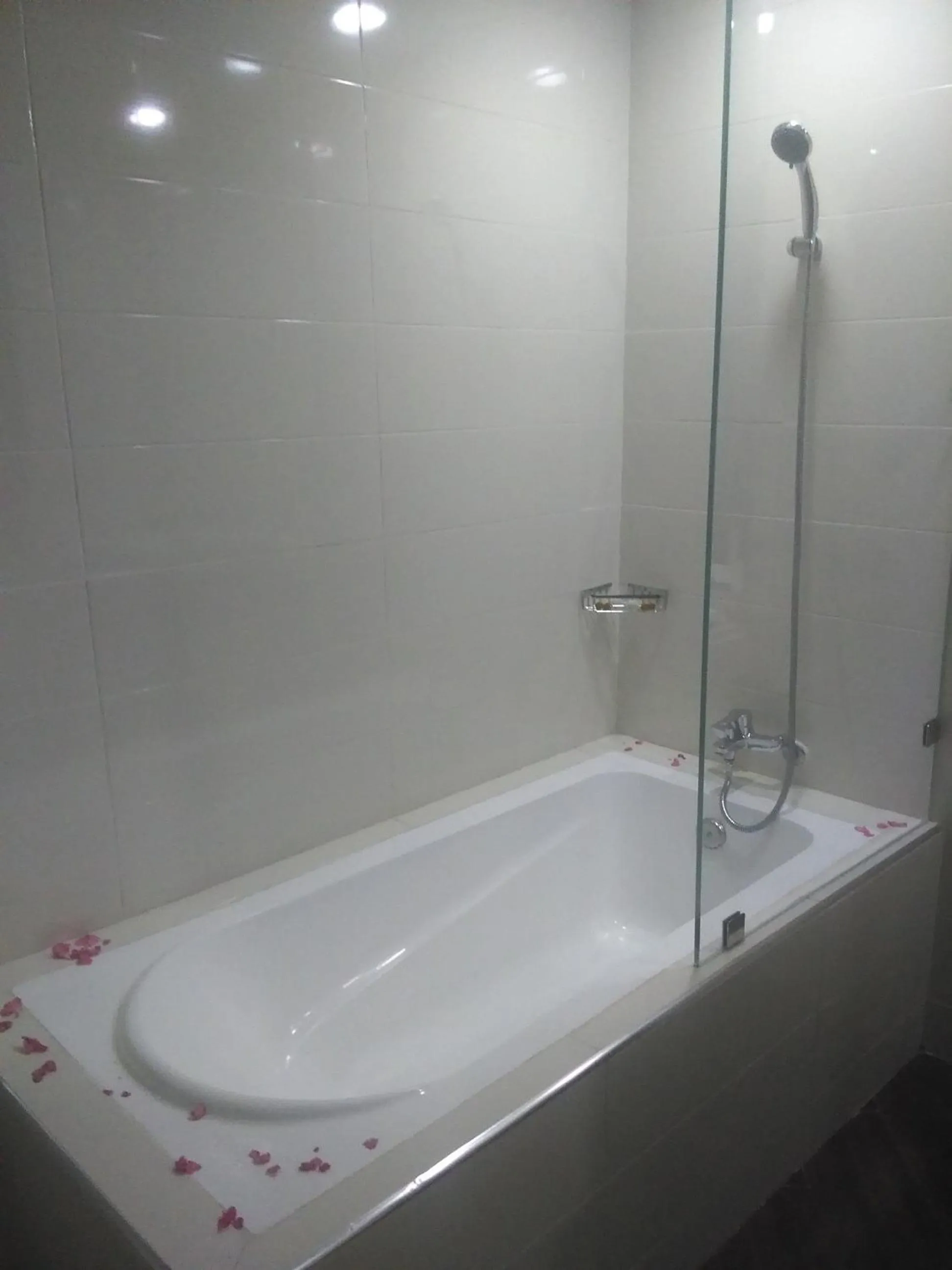 Bath in Hotel Swani