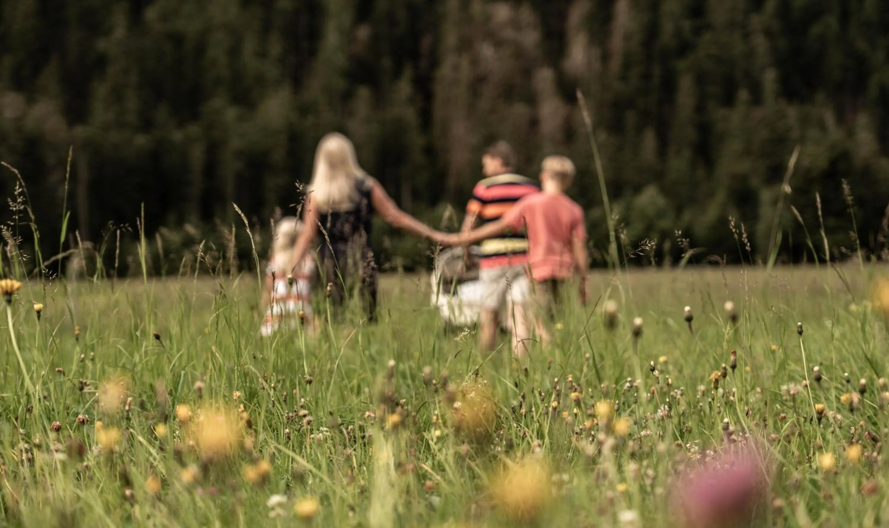 Family in Almfamilyhotel Scherer