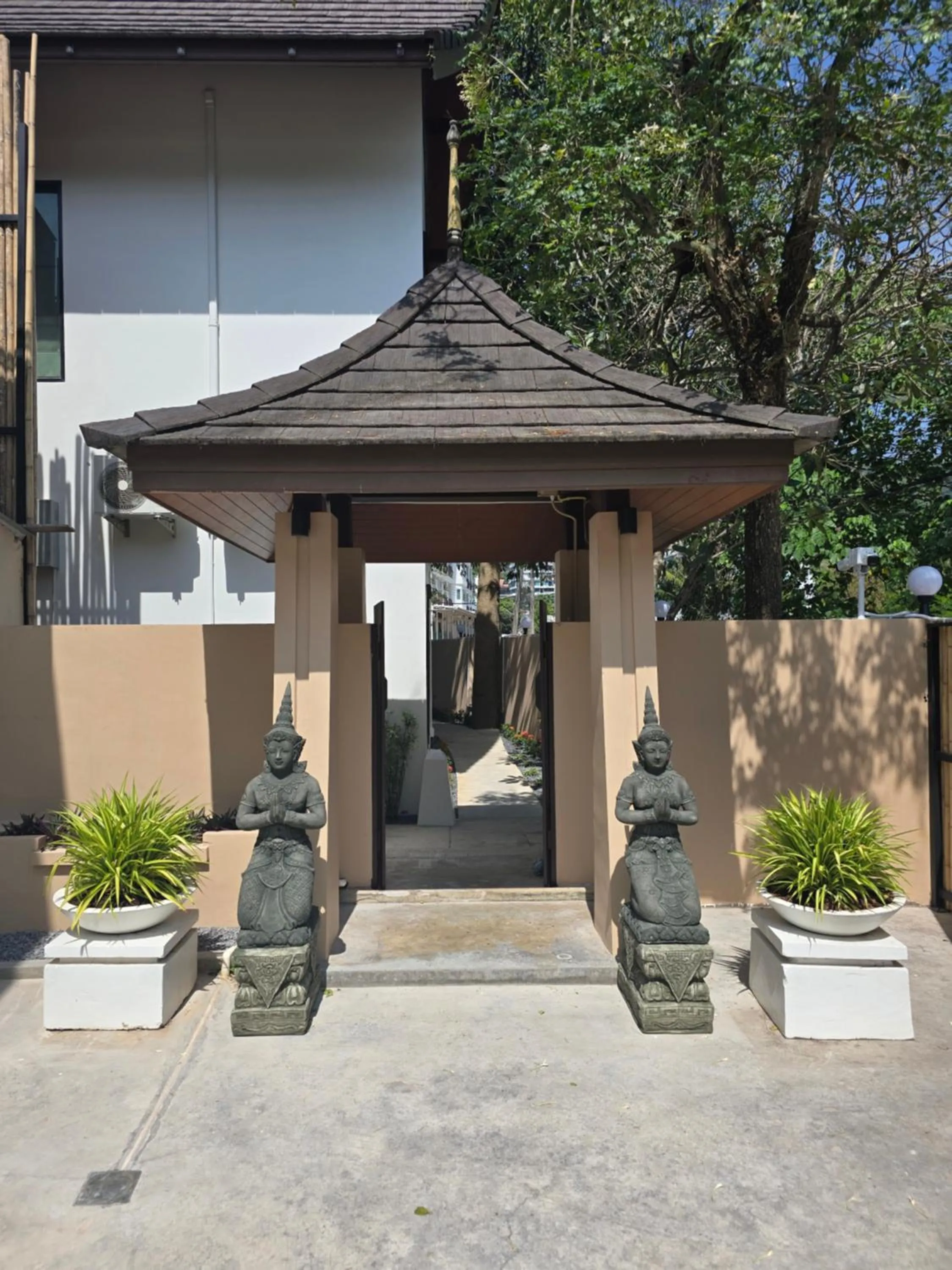 Garden in Blue Palm Residence Kata