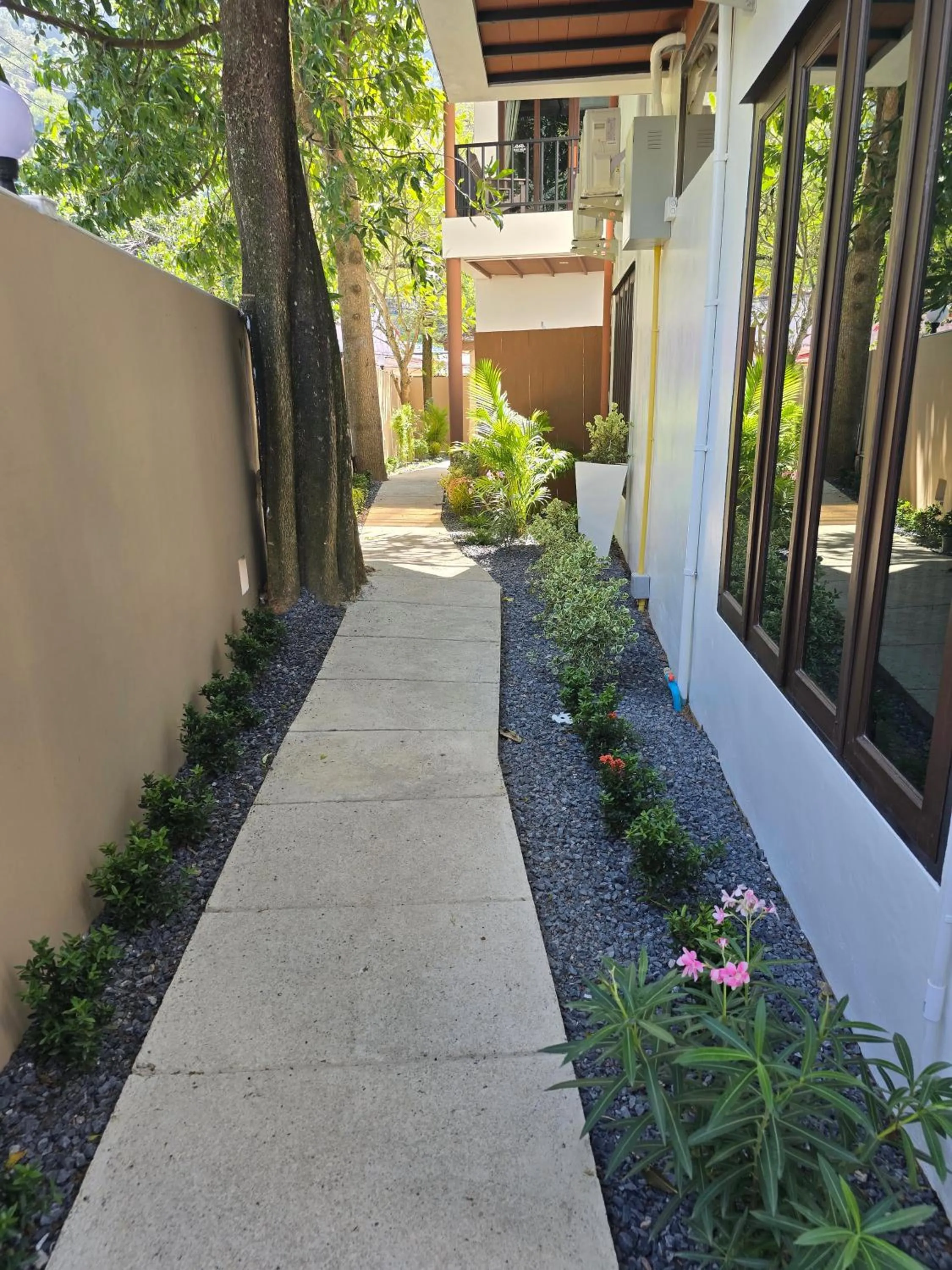 Garden in Blue Palm Residence Kata