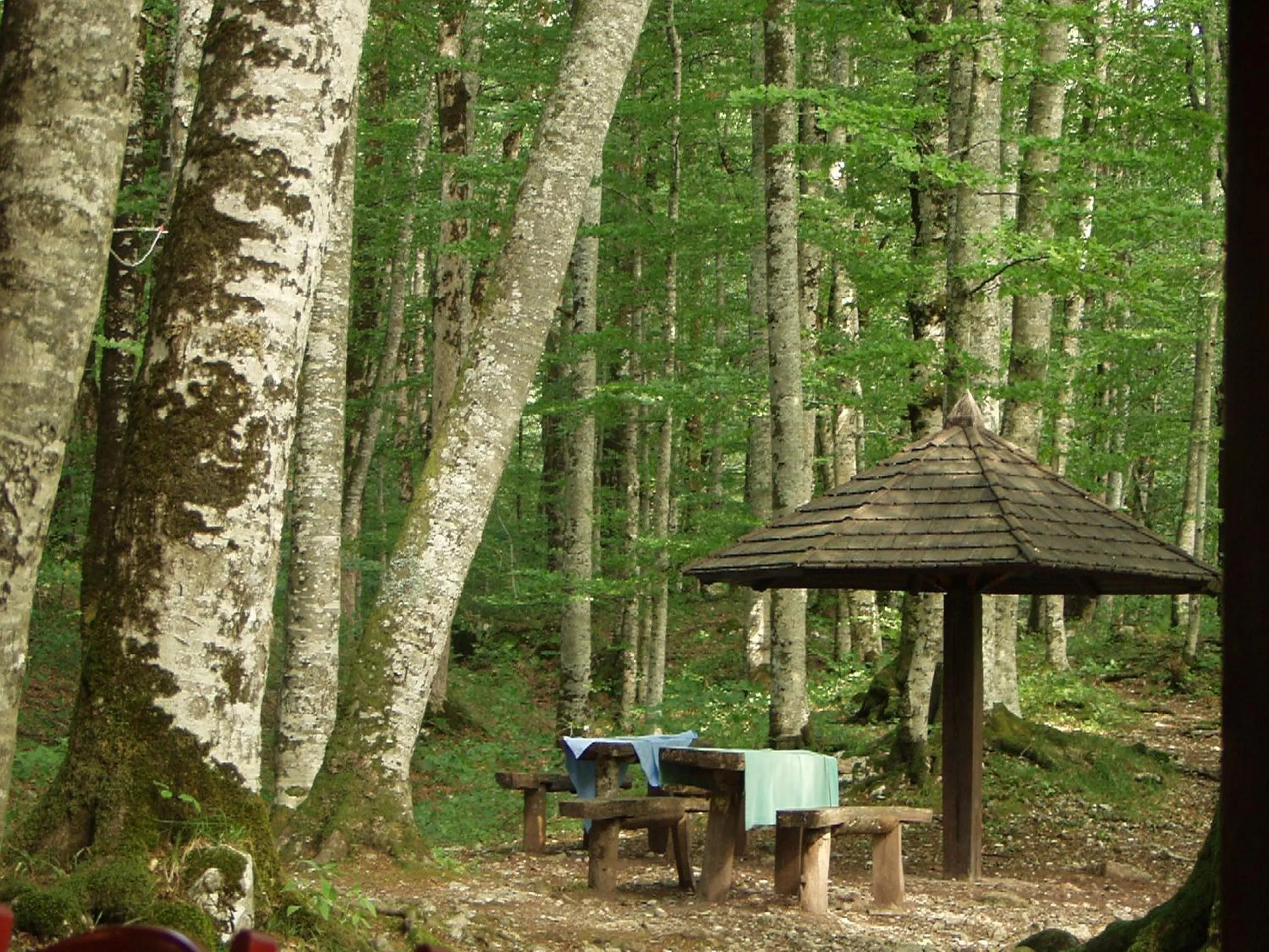 Natural landscape in ECO ViLLAGE CORIC