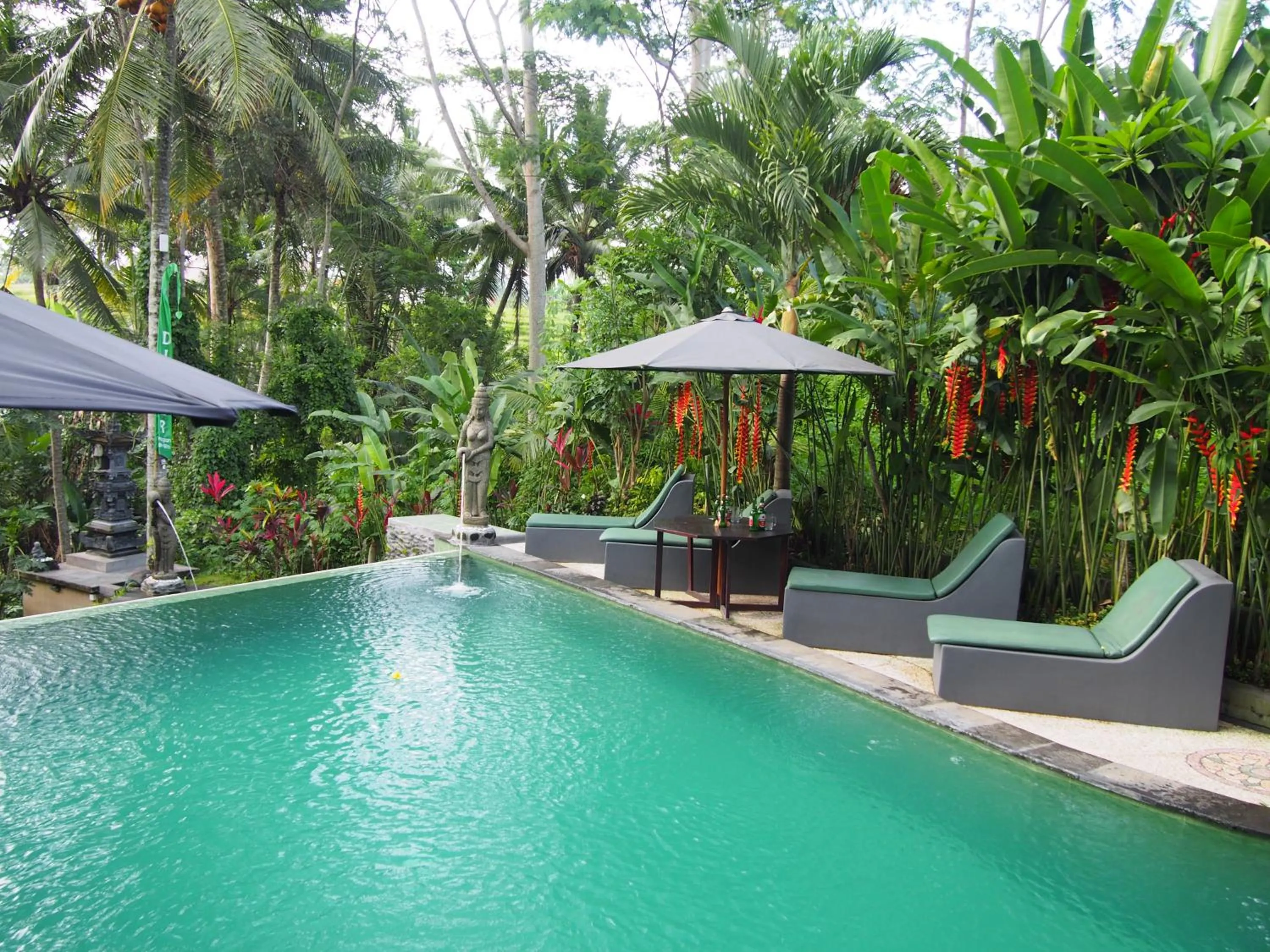 Pool view in Junjungan Suite