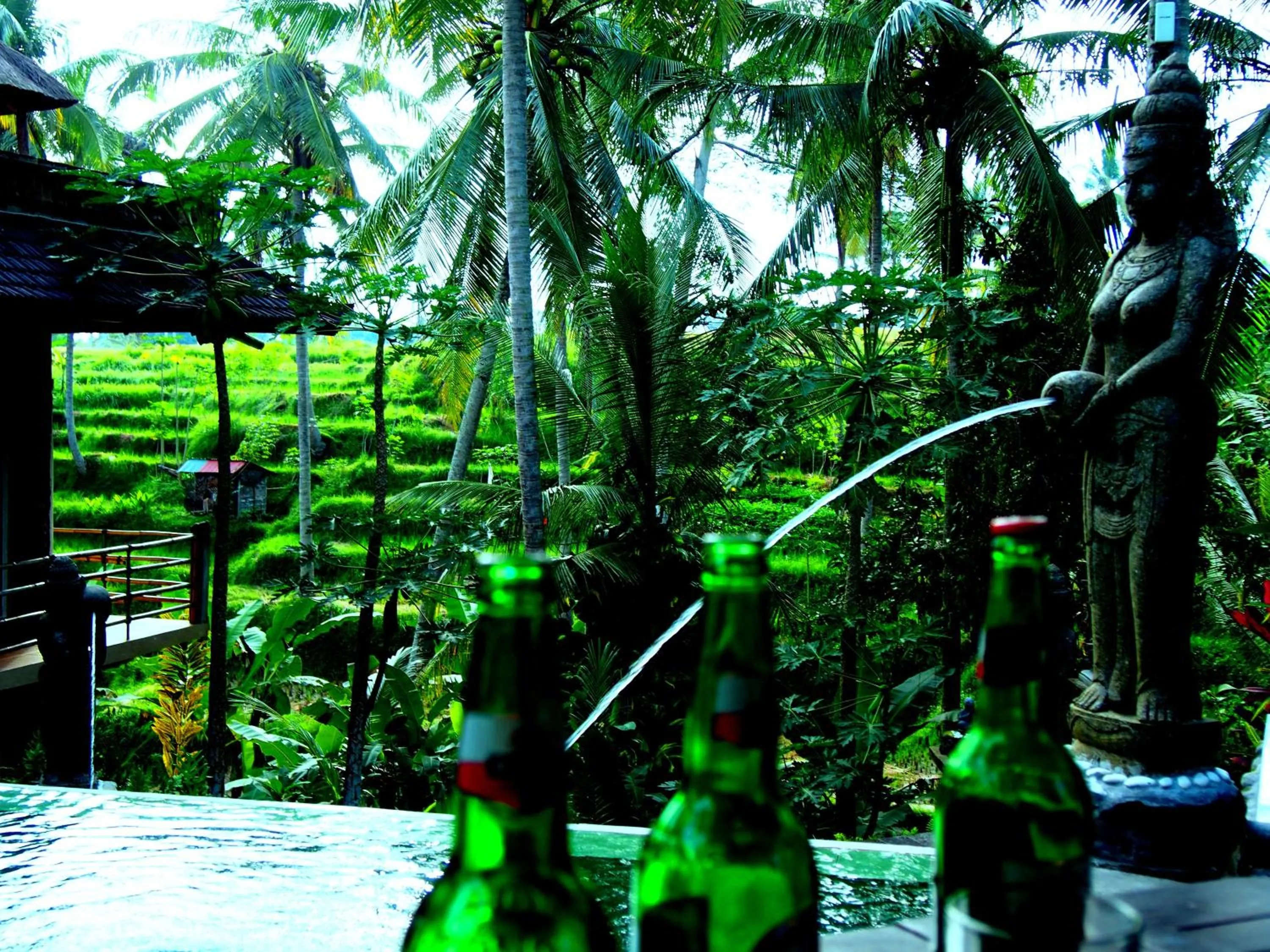 Garden in Junjungan Suite