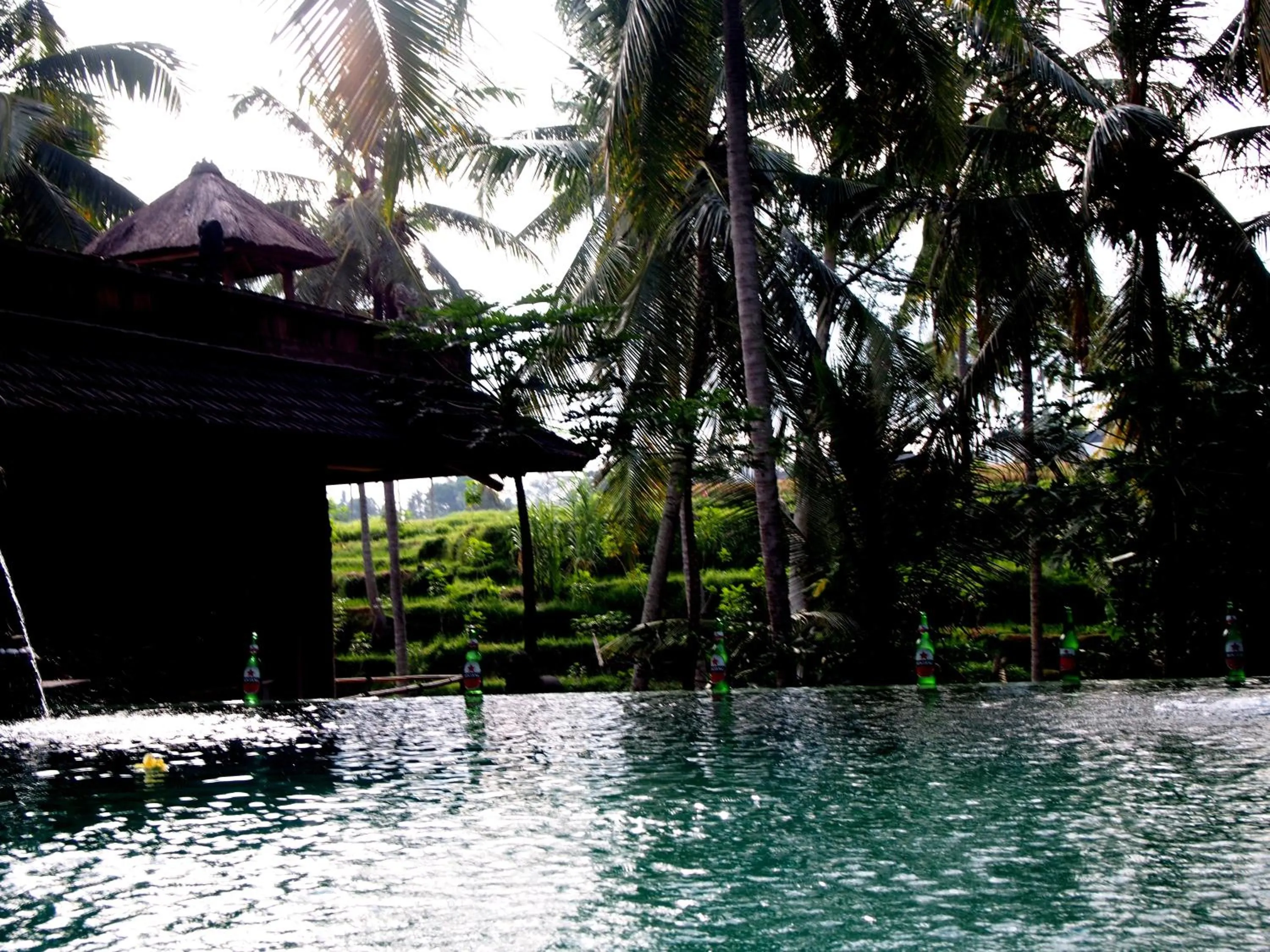 Swimming pool in Junjungan Suite