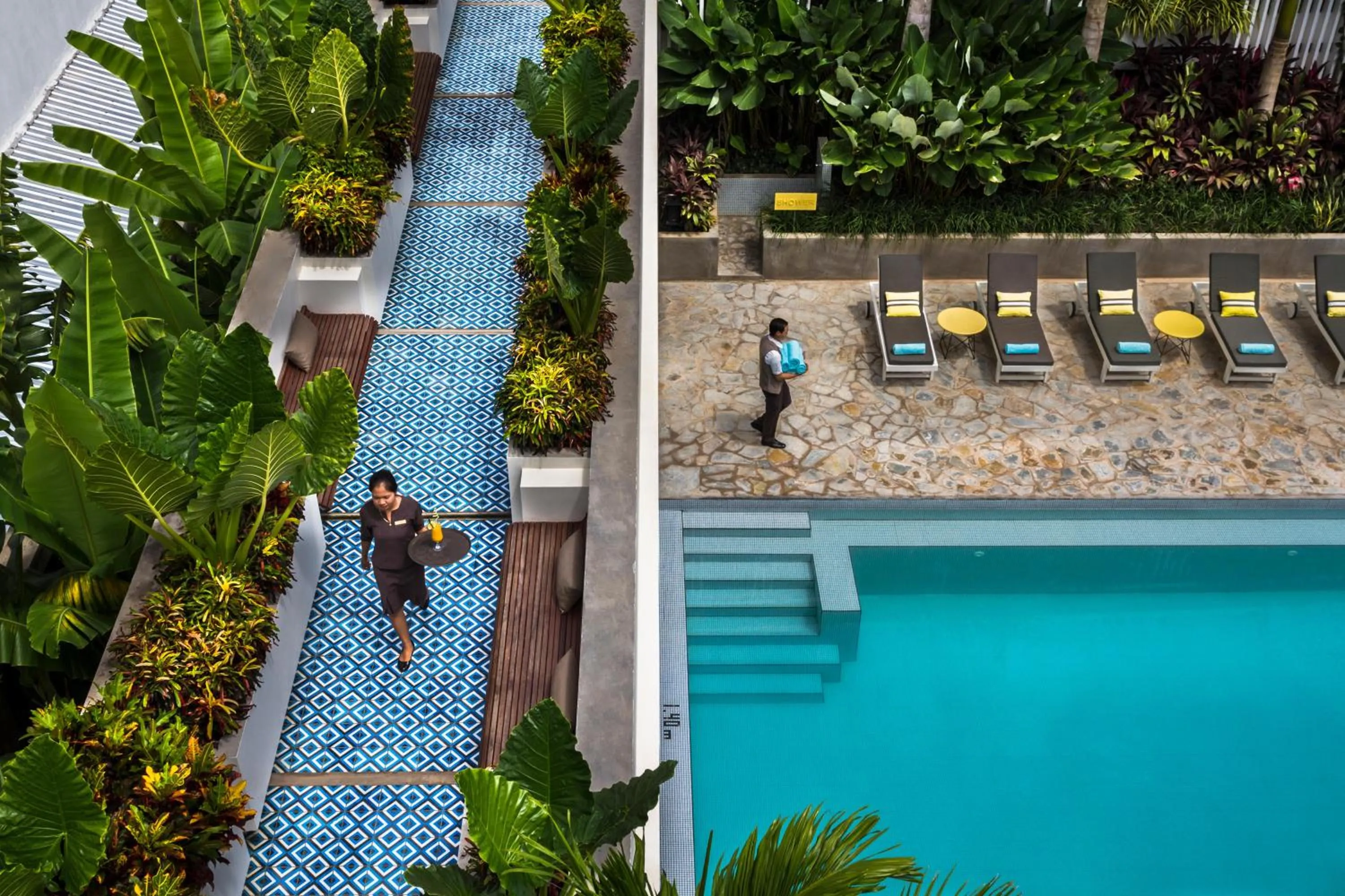 Garden in Viroth's Hotel