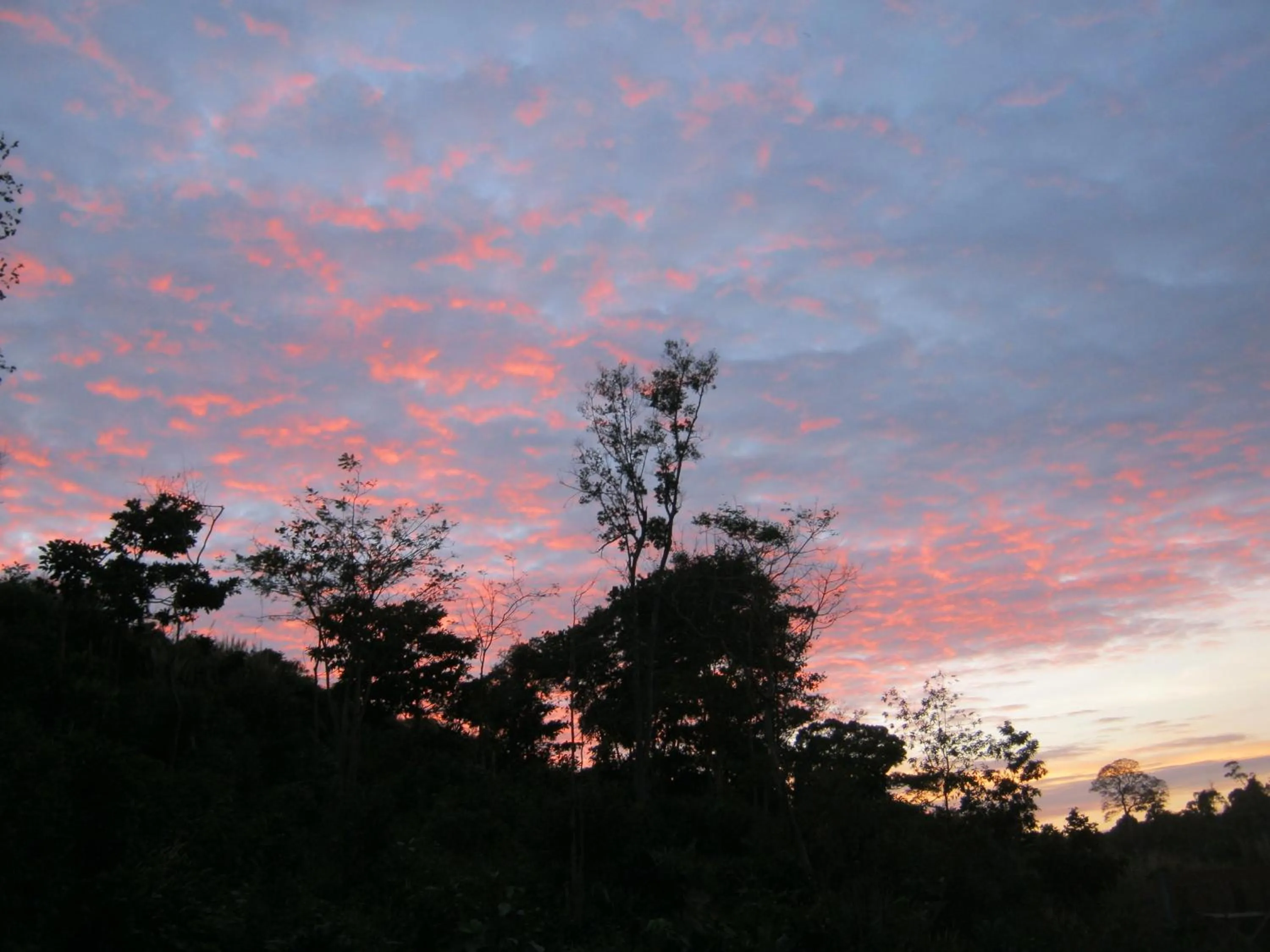 Area and facilities in Coconutbeach Bungalows