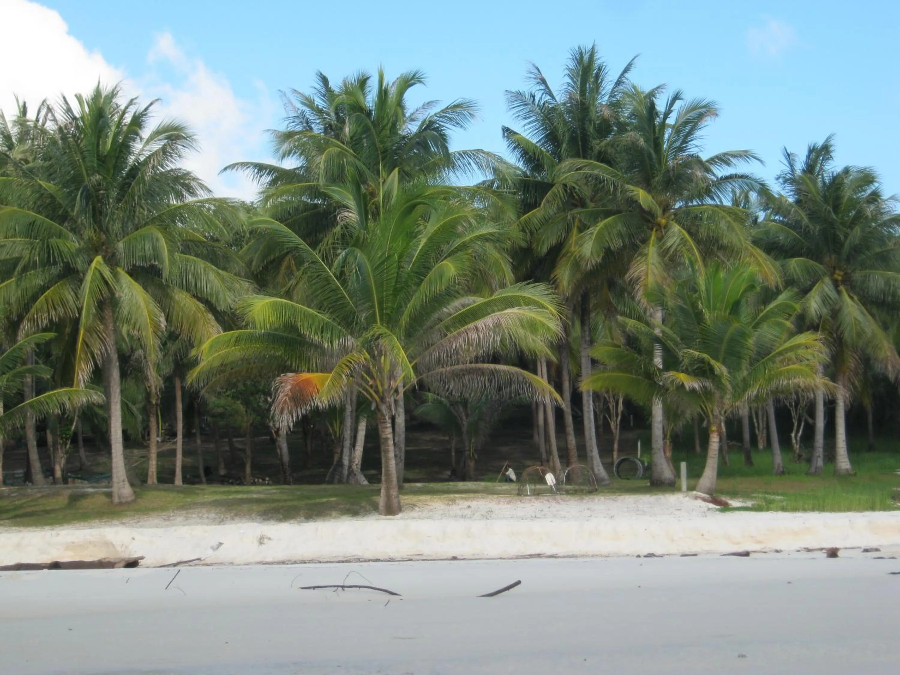 Beach in Coconutbeach Bungalows