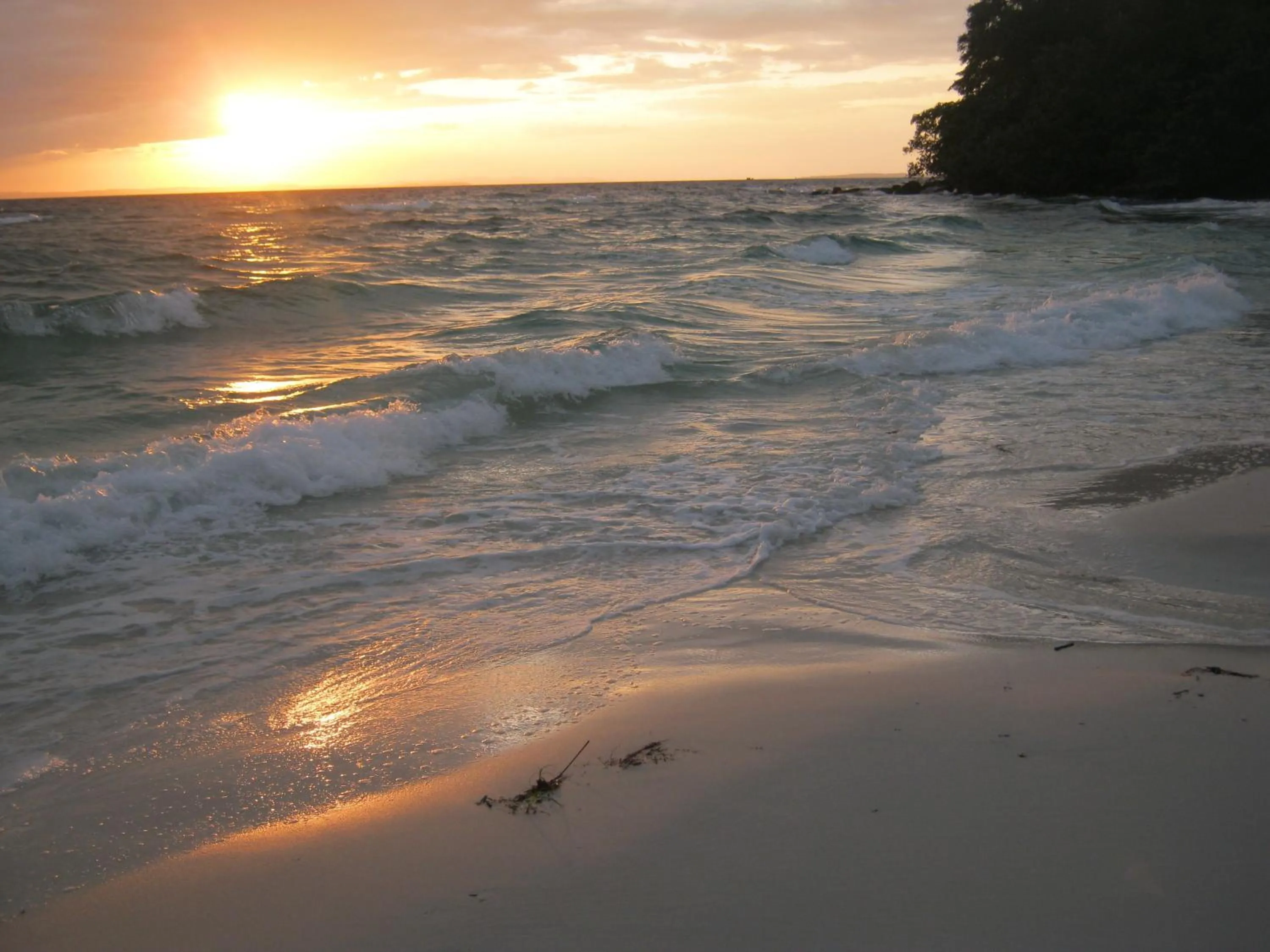 Beach in Coconutbeach Bungalows