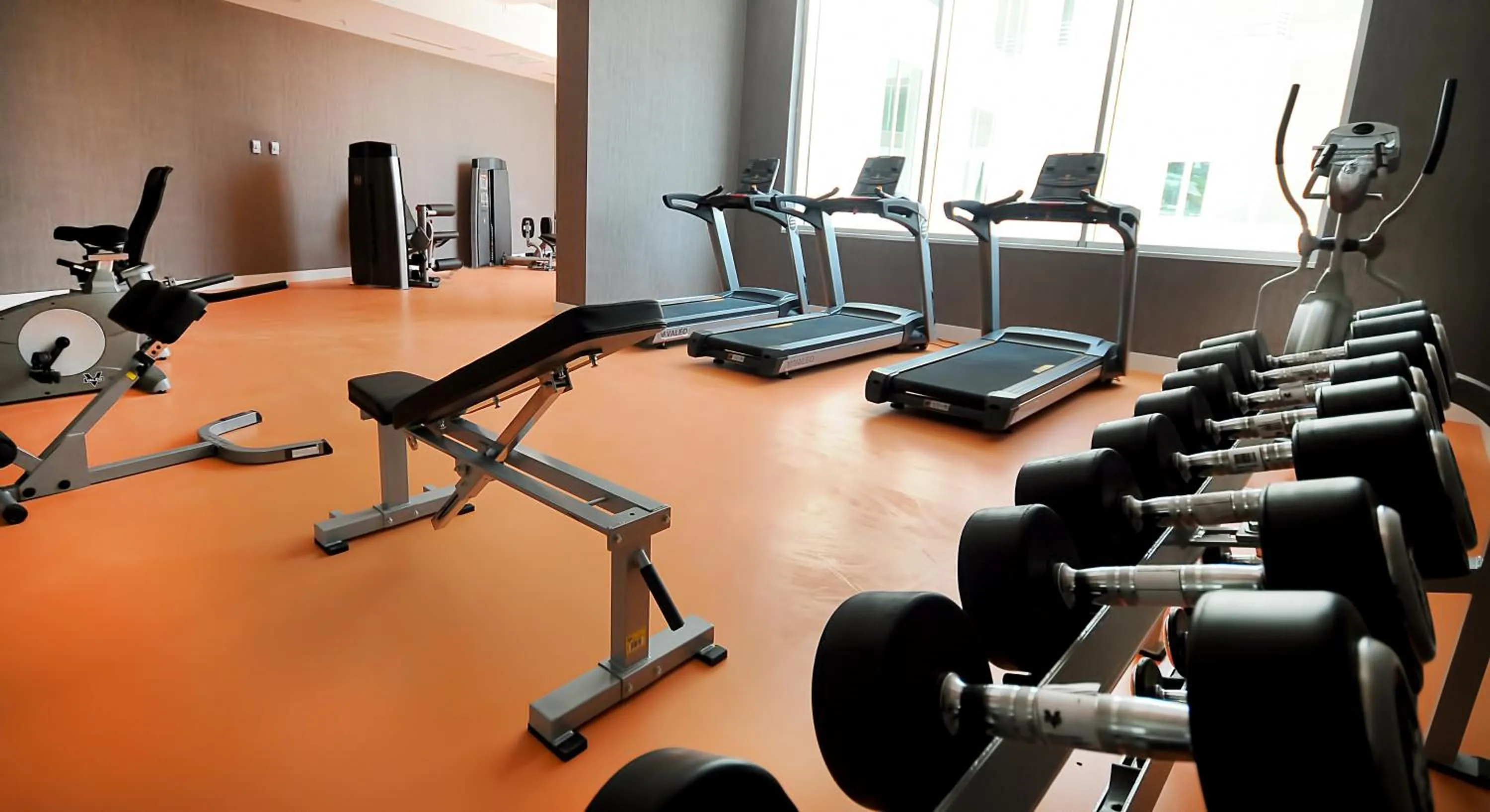 Fitness centre/facilities in Elite Hotels Darica Spa & Convention Center