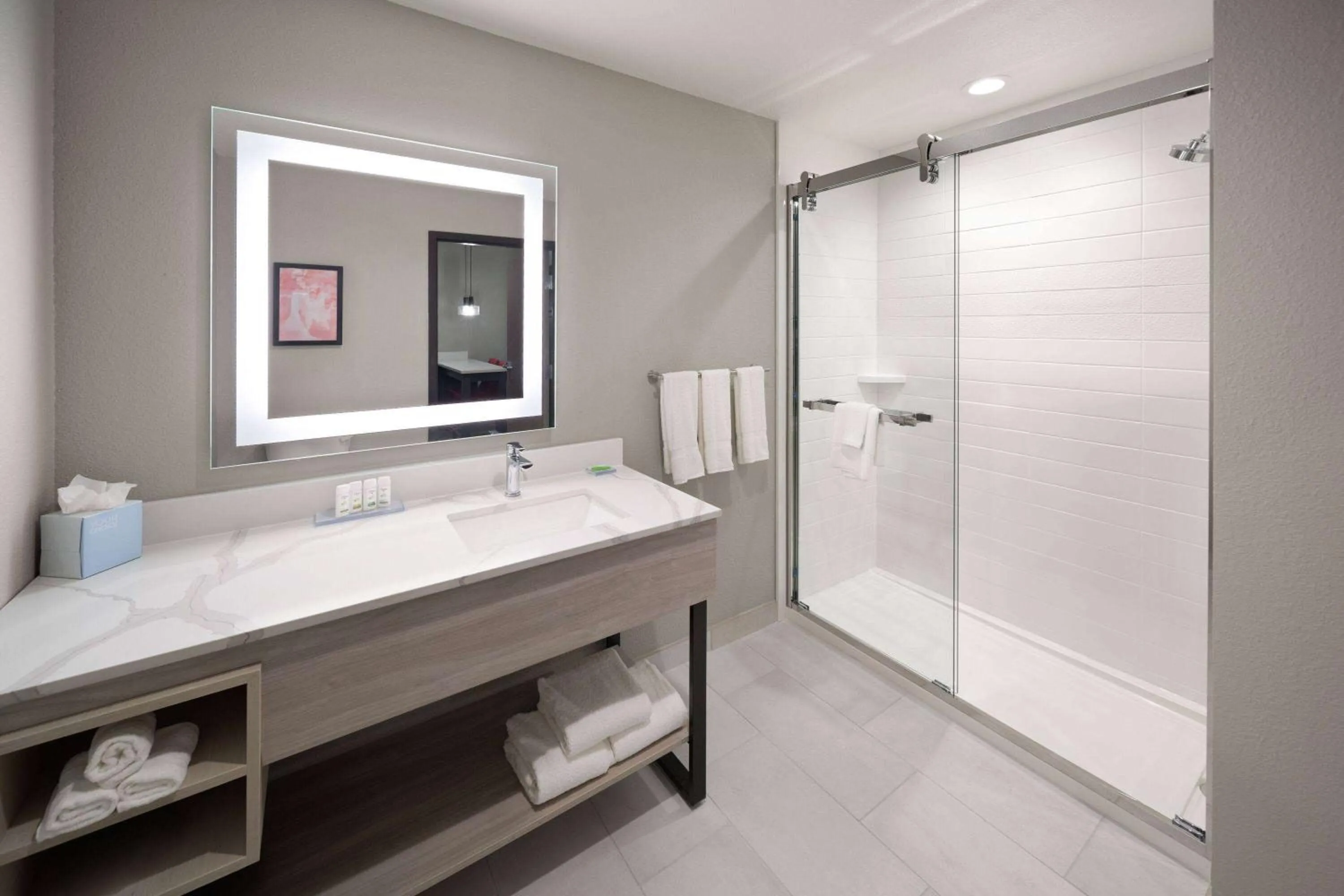 Bathroom in Hawthorn Extended Stay by Wyndham DeSoto