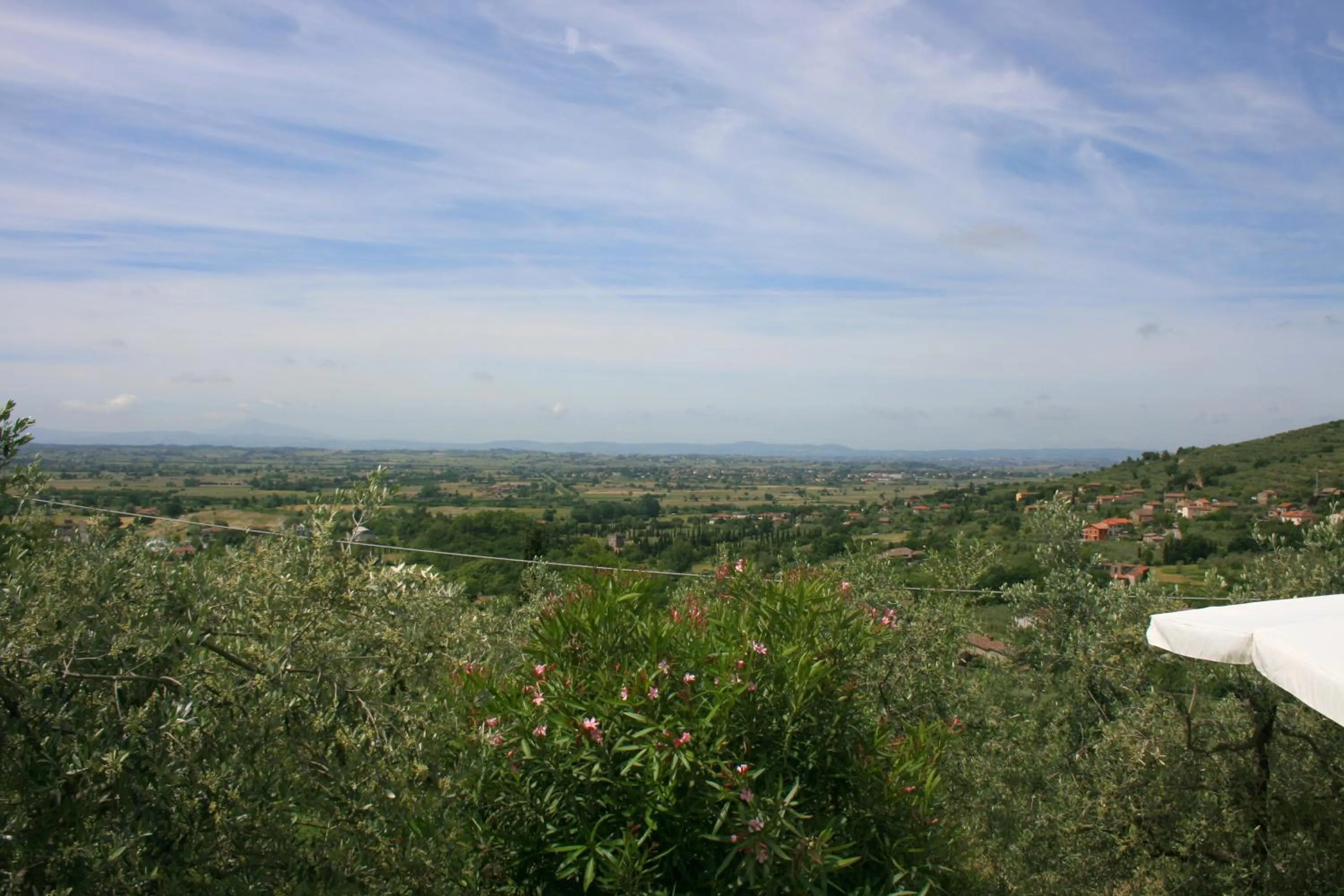 View (from property/room) in San Eusebio