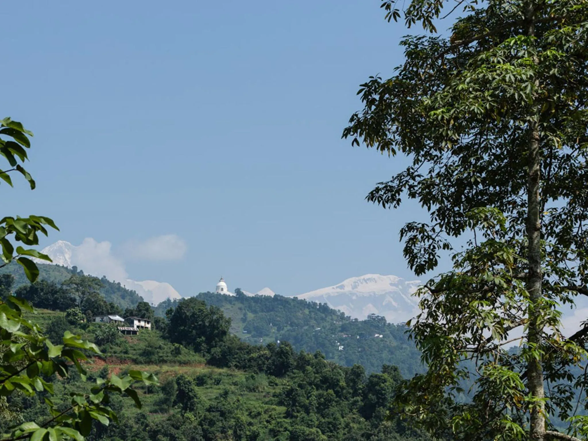 View (from property/room) in The Pavilions Himalayas The Farm
