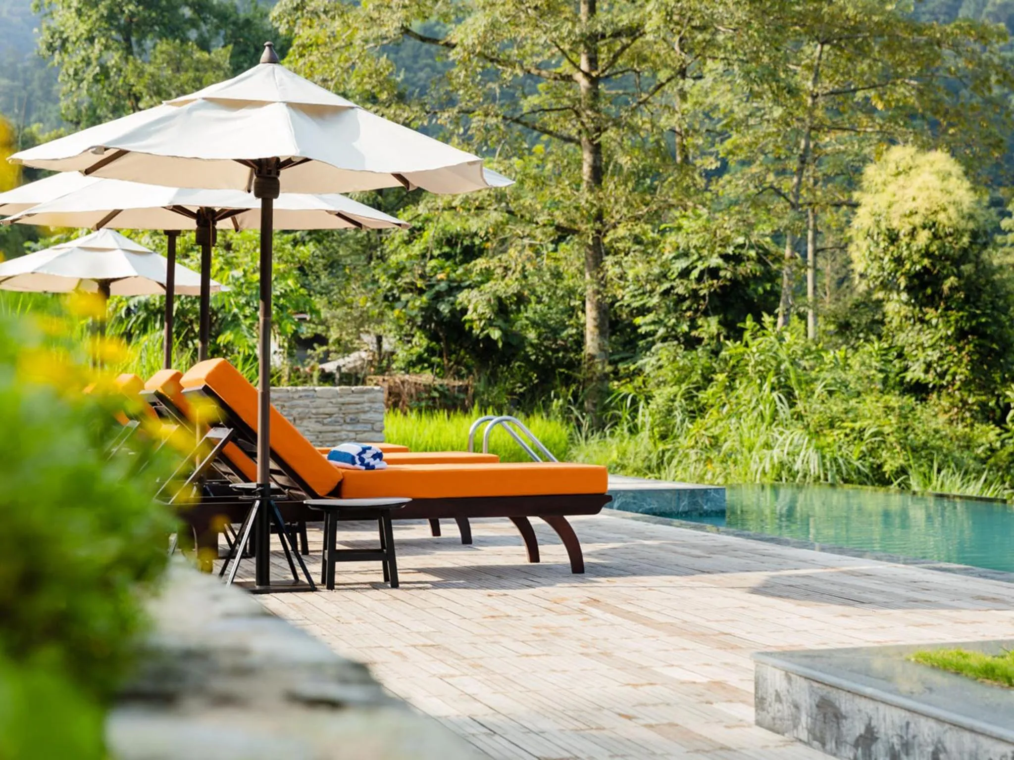 Swimming pool in The Pavilions Himalayas The Farm