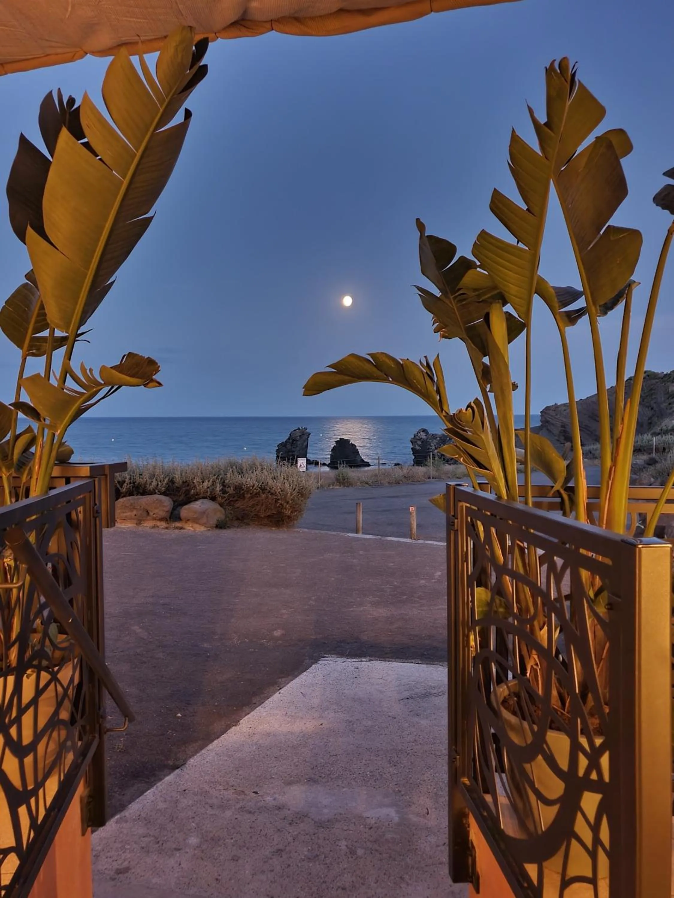 Sea view in Hôtel La Grande Conque