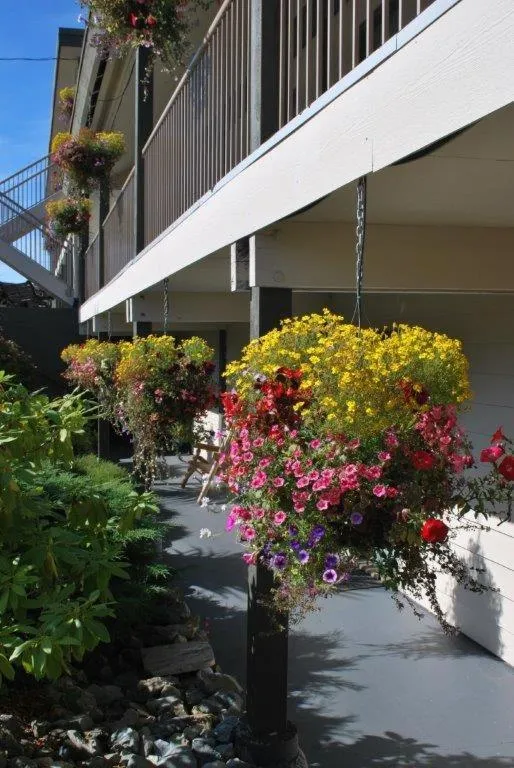 Garden view in Pacific Rim Motel