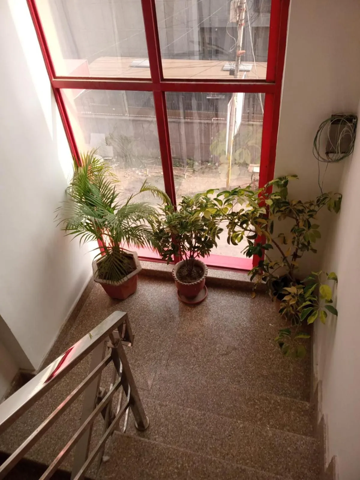 View (from property/room) in Jaiswal Home Stay