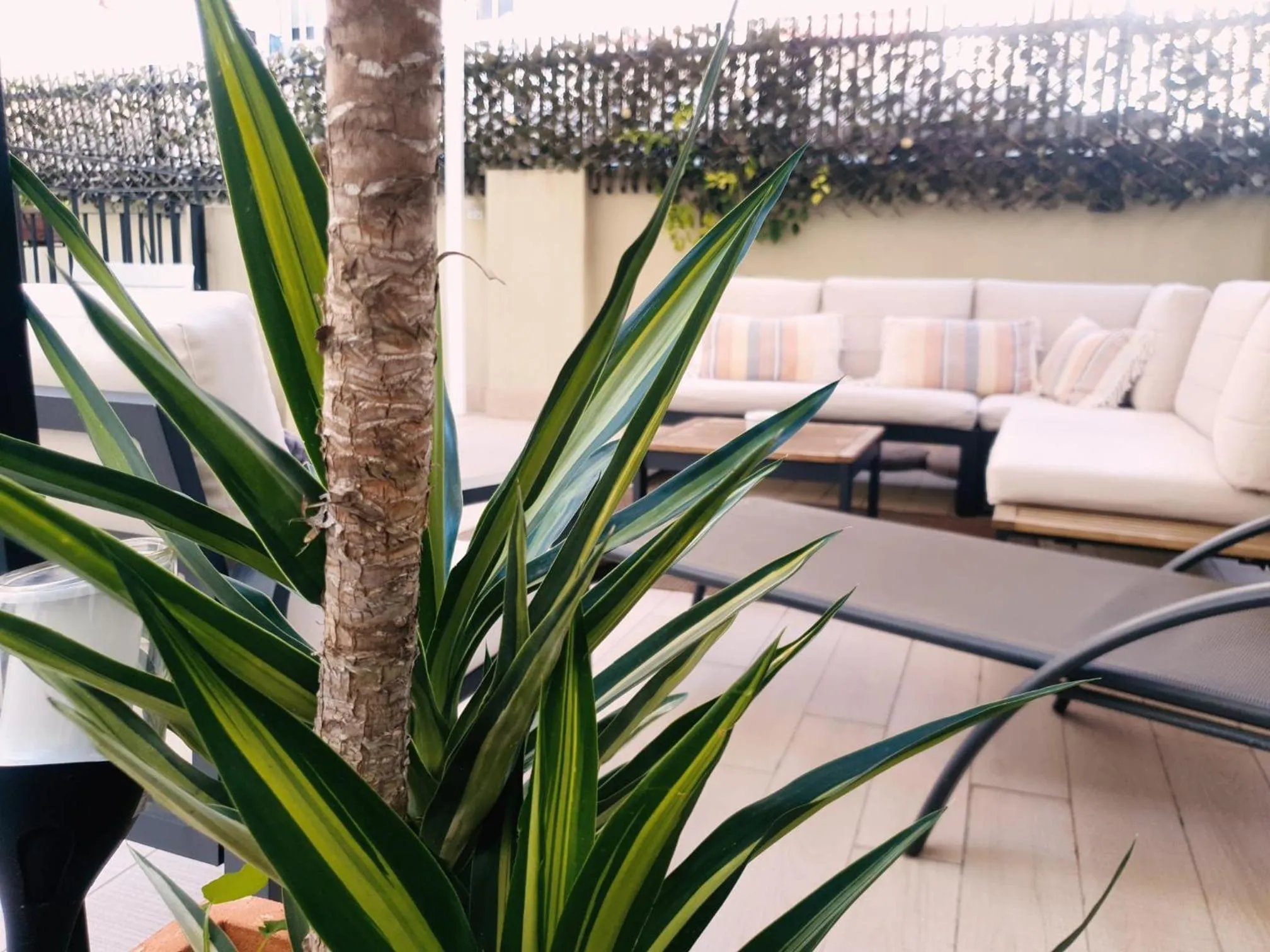 Off site in Zalamera BnB