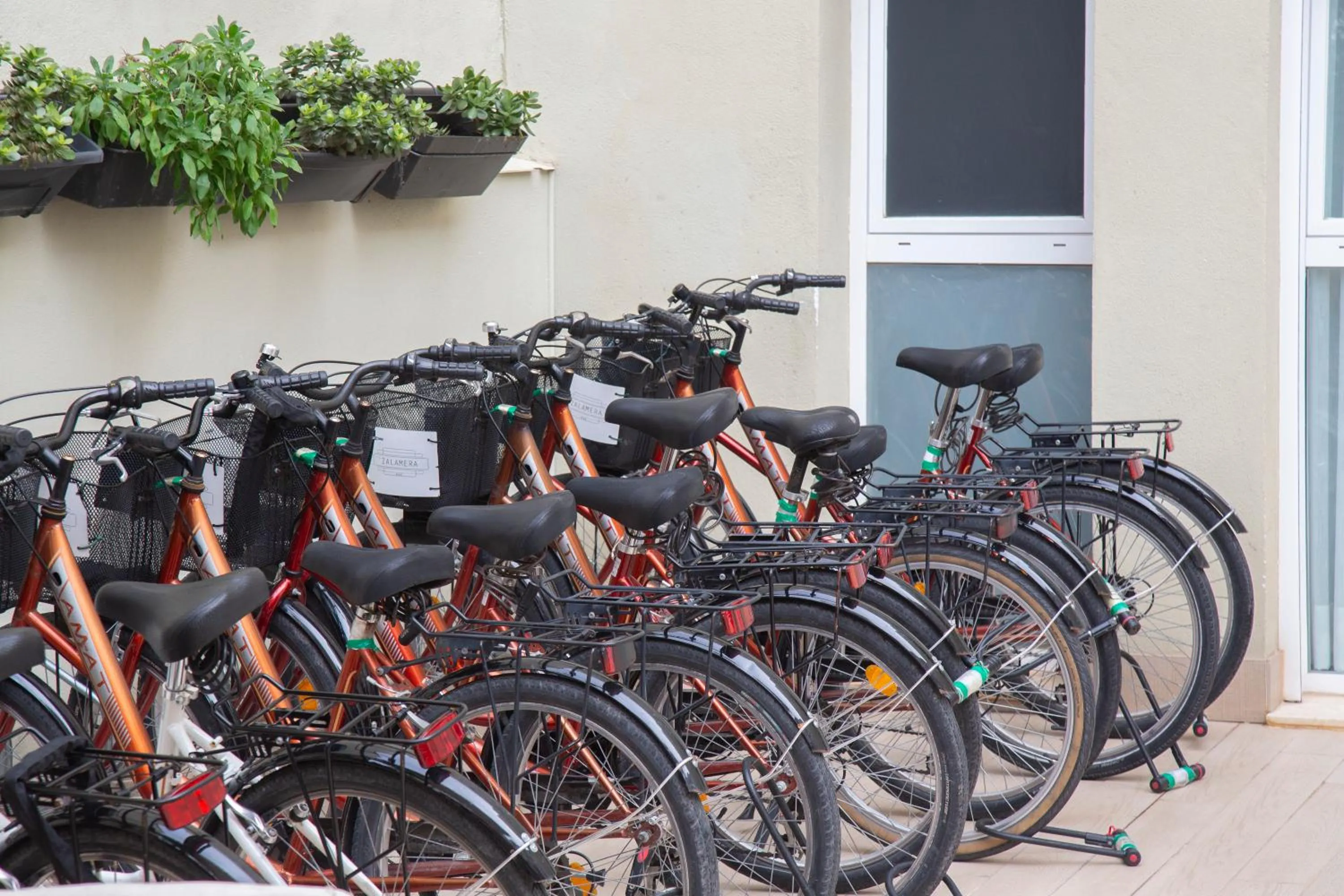 Balcony/Terrace in Zalamera BnB
