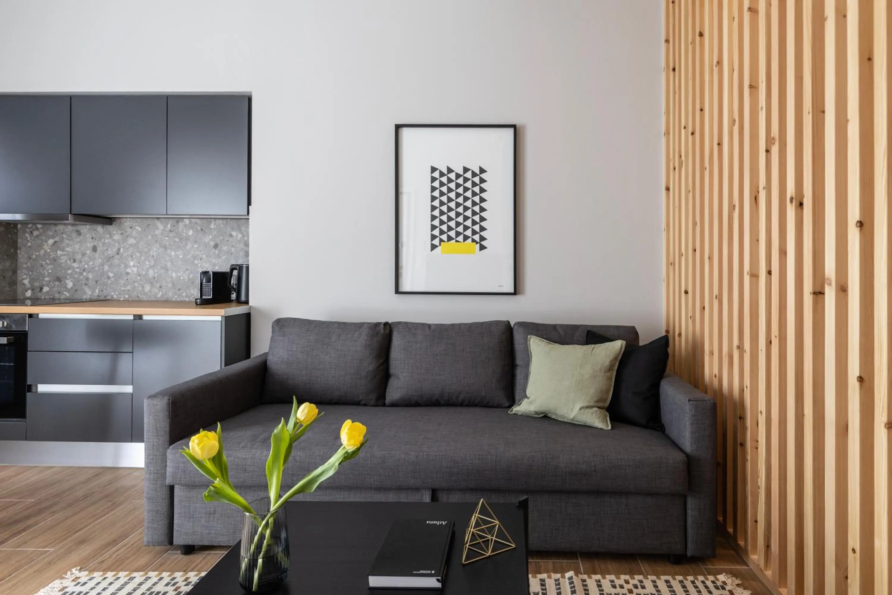 Living room in Elliot Petralona, Athens