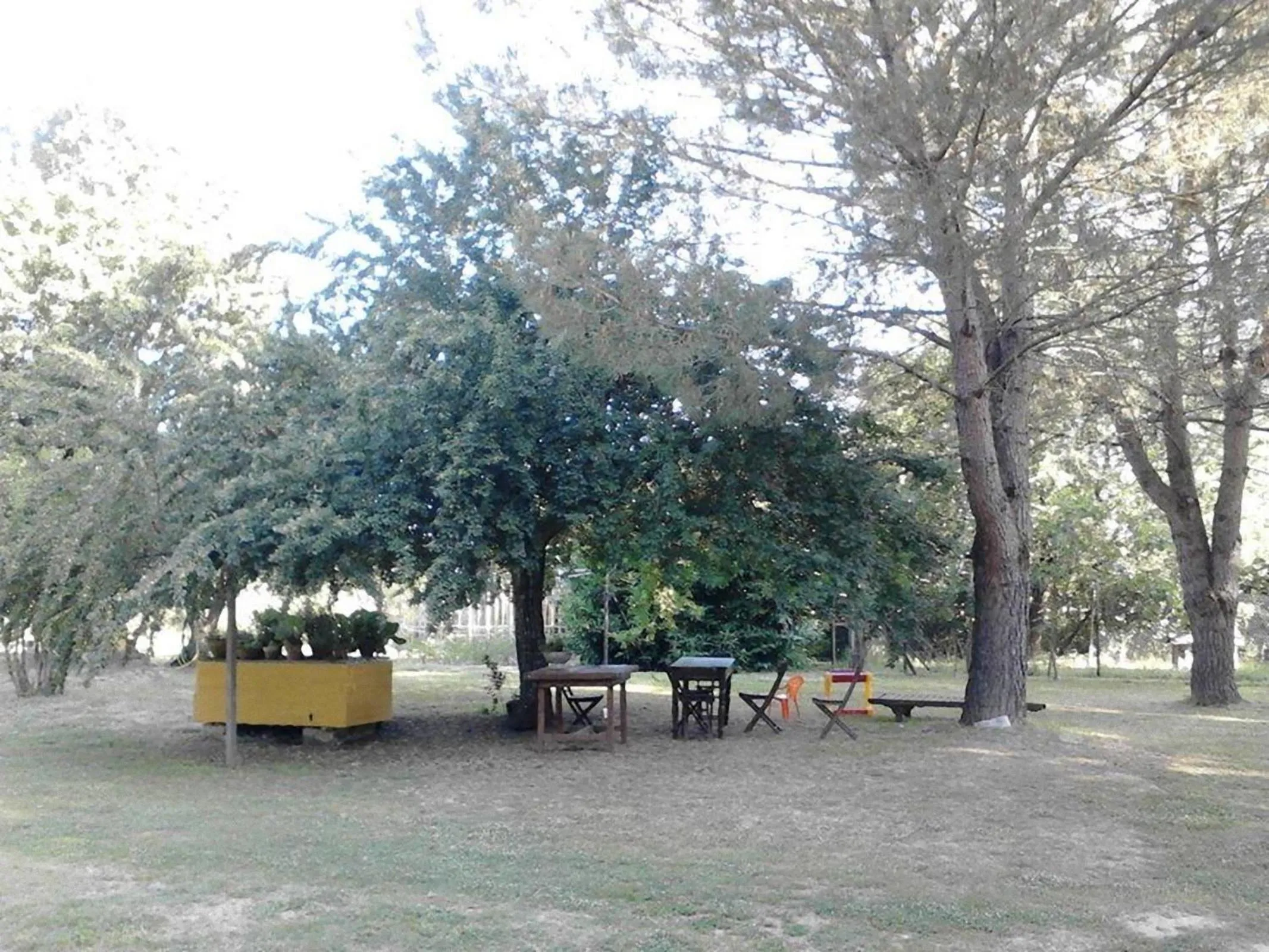 Garden in Campo alle Monache