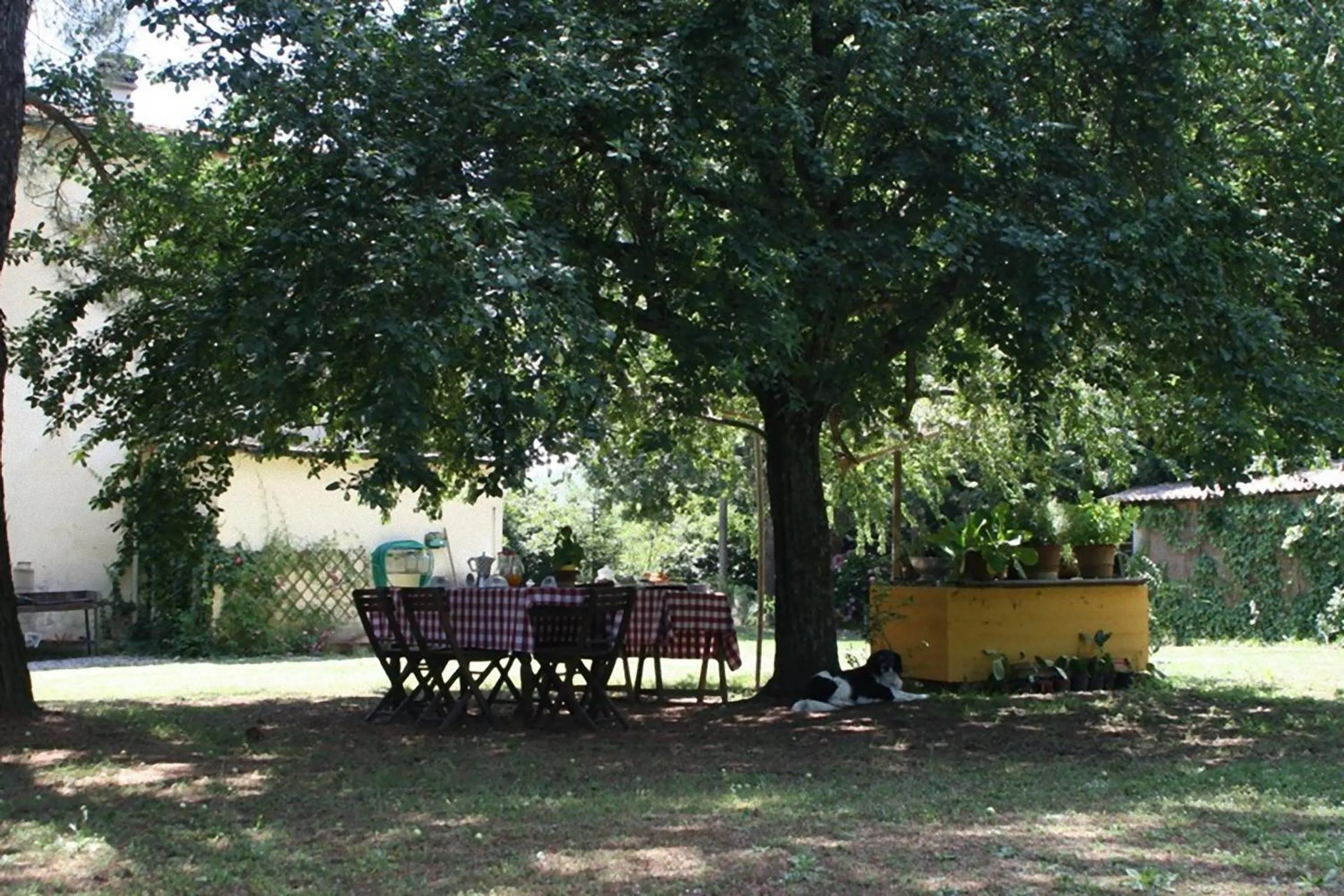 Garden in Campo alle Monache