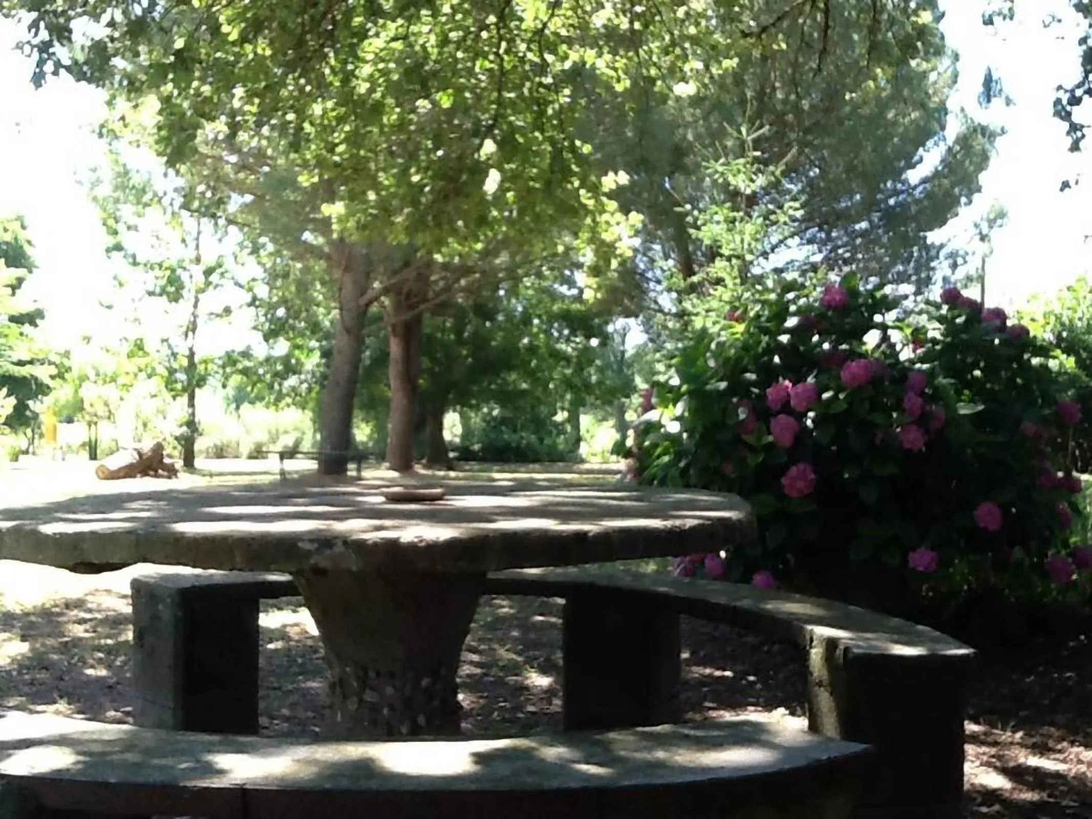 Garden in Campo alle Monache