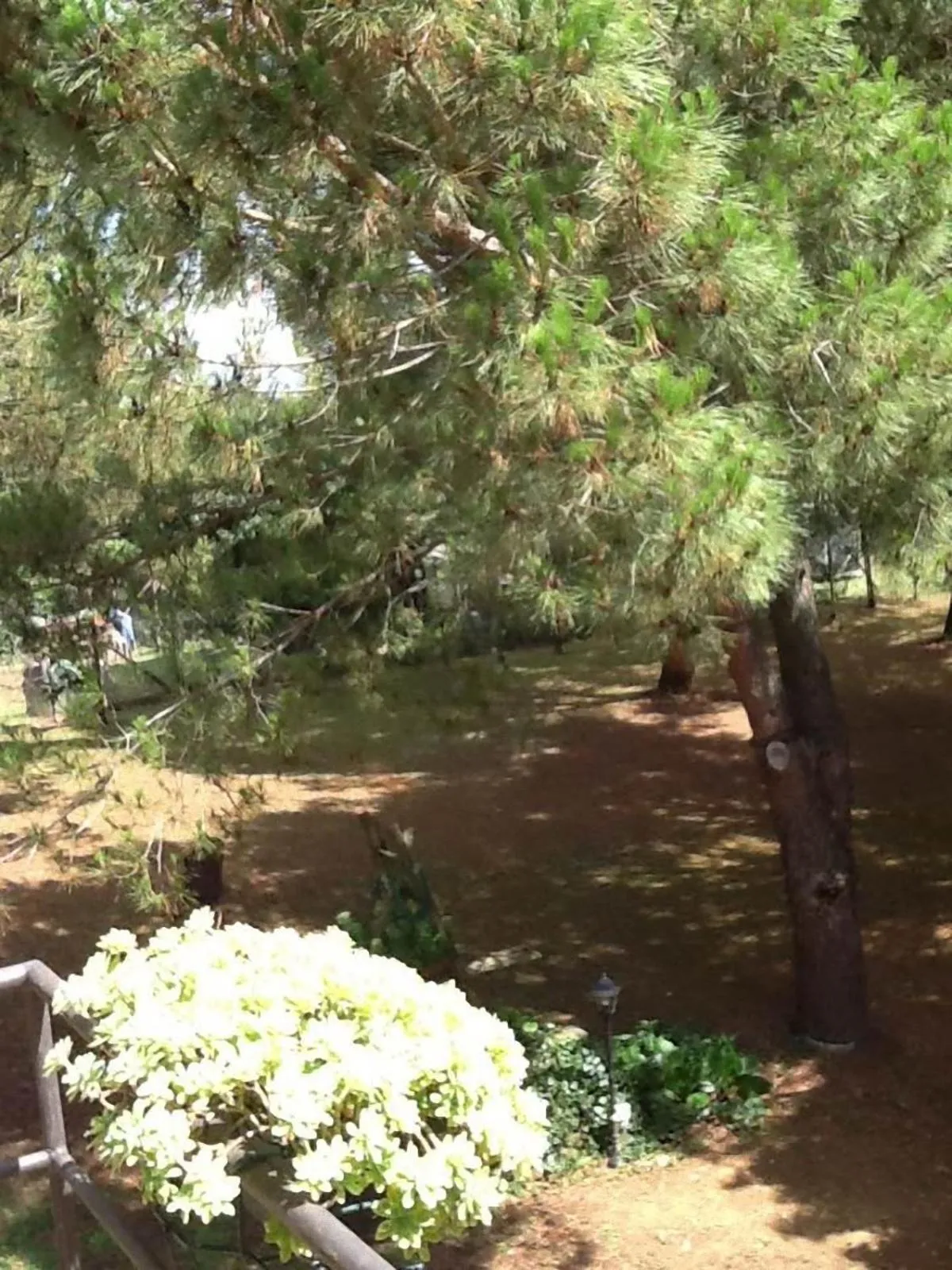 Garden in Campo alle Monache