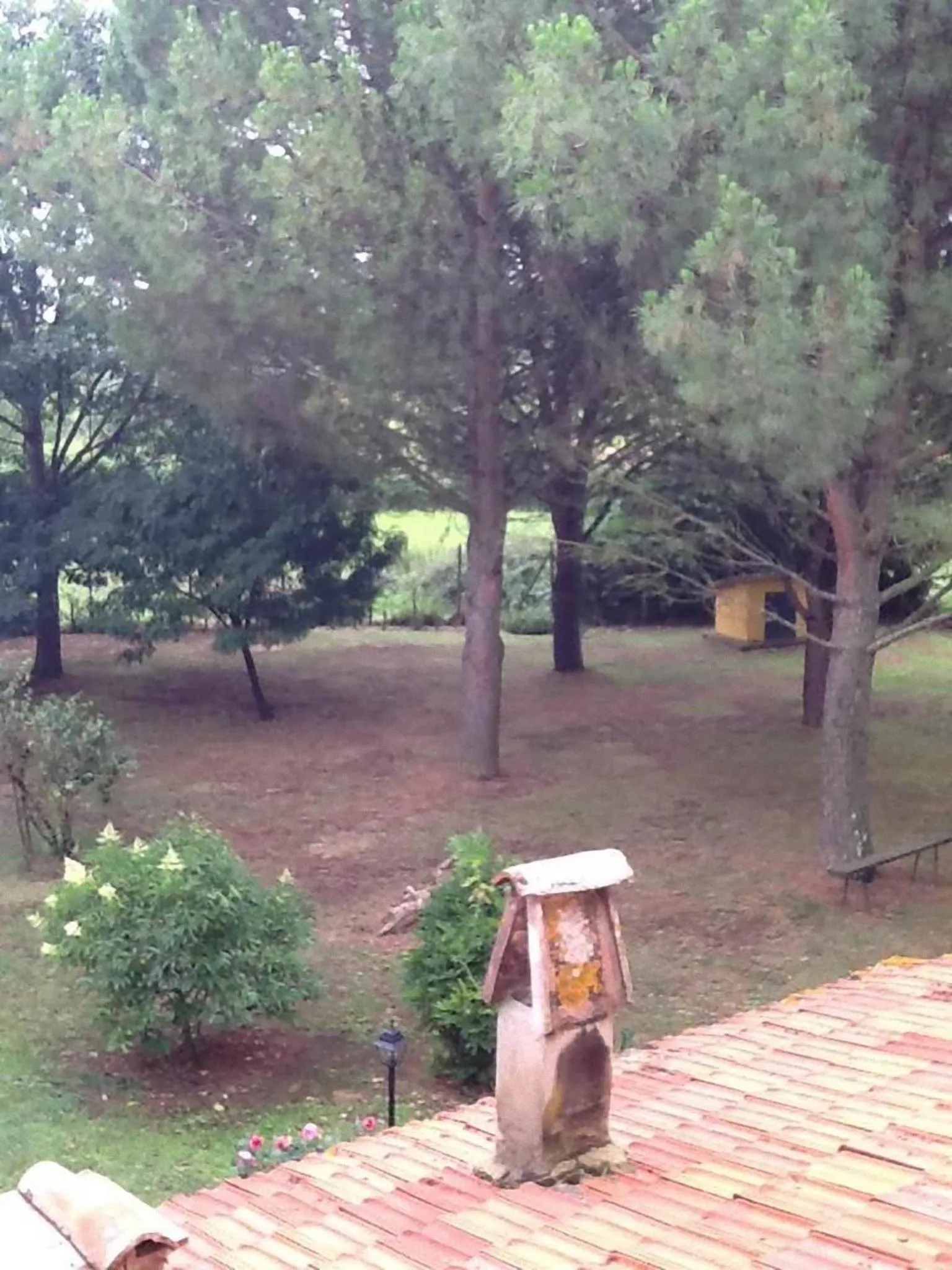 Garden in Campo alle Monache