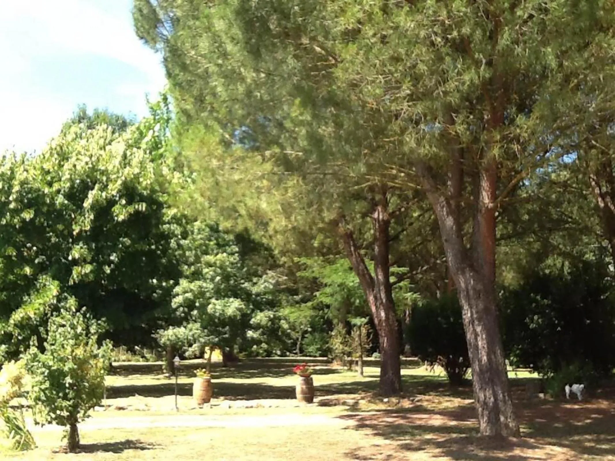 Garden in Campo alle Monache