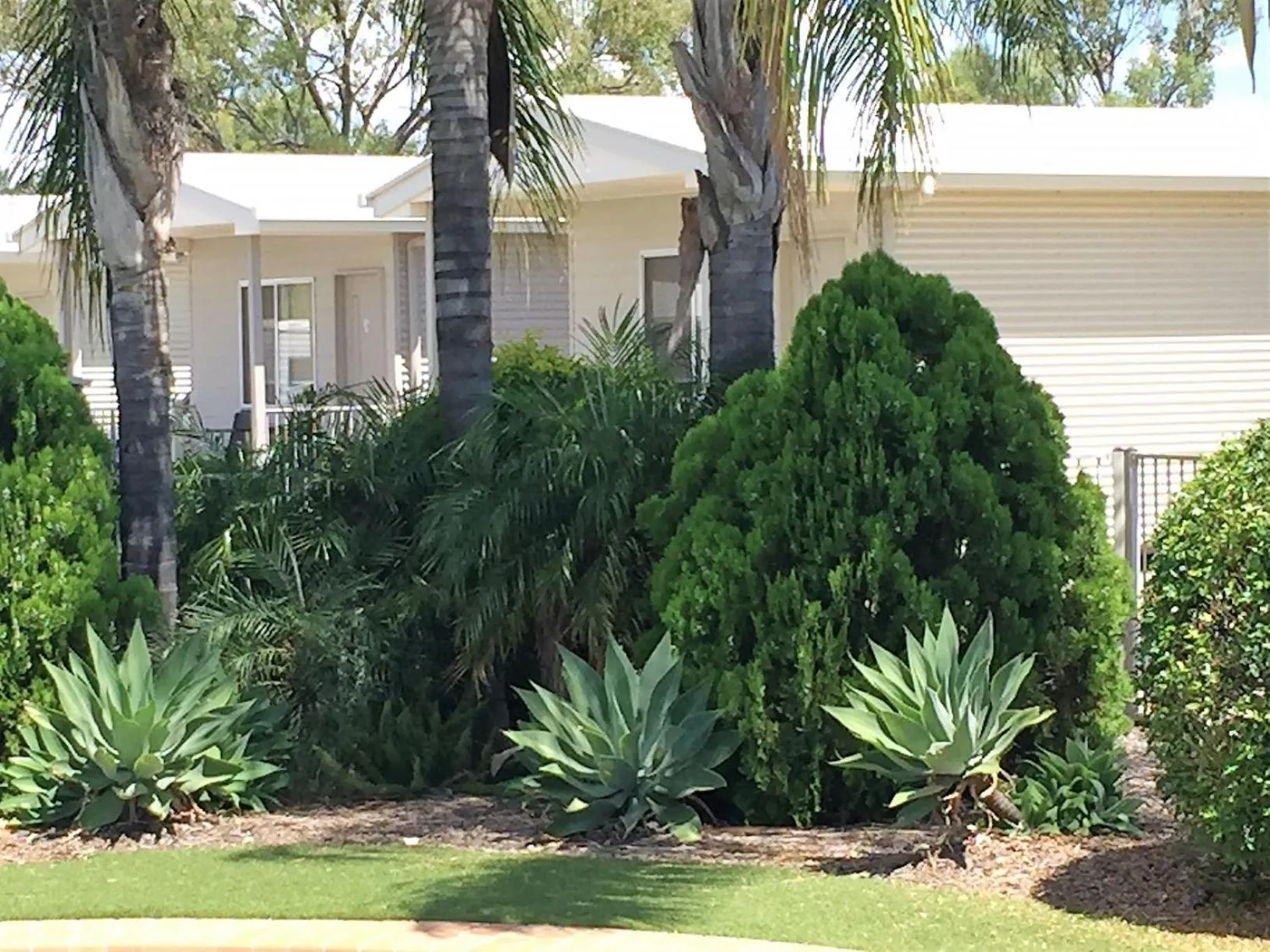 Garden in Chinchilla Tourist Park