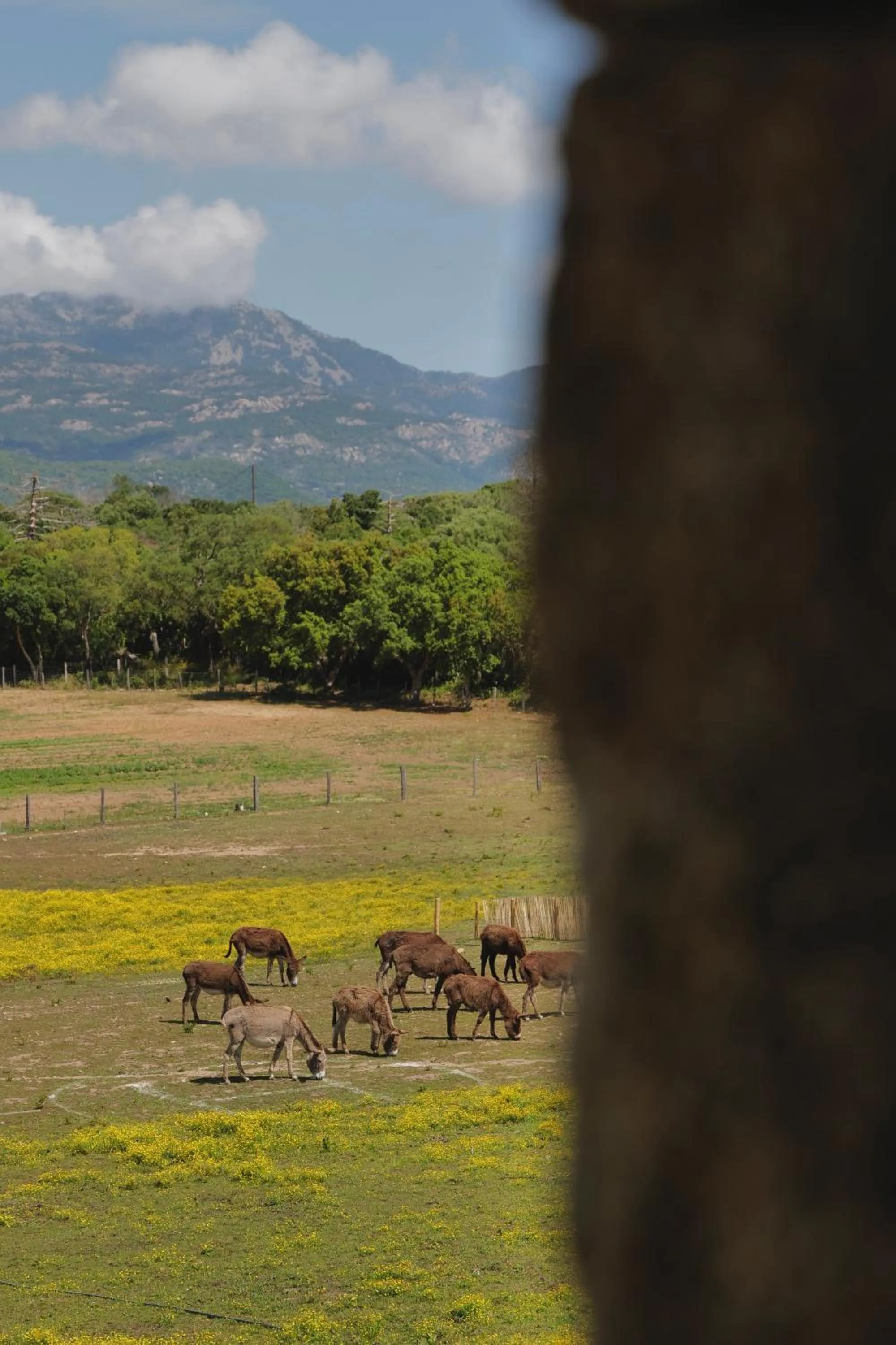 Domaine Pozzo di Mastri hôtel & spa