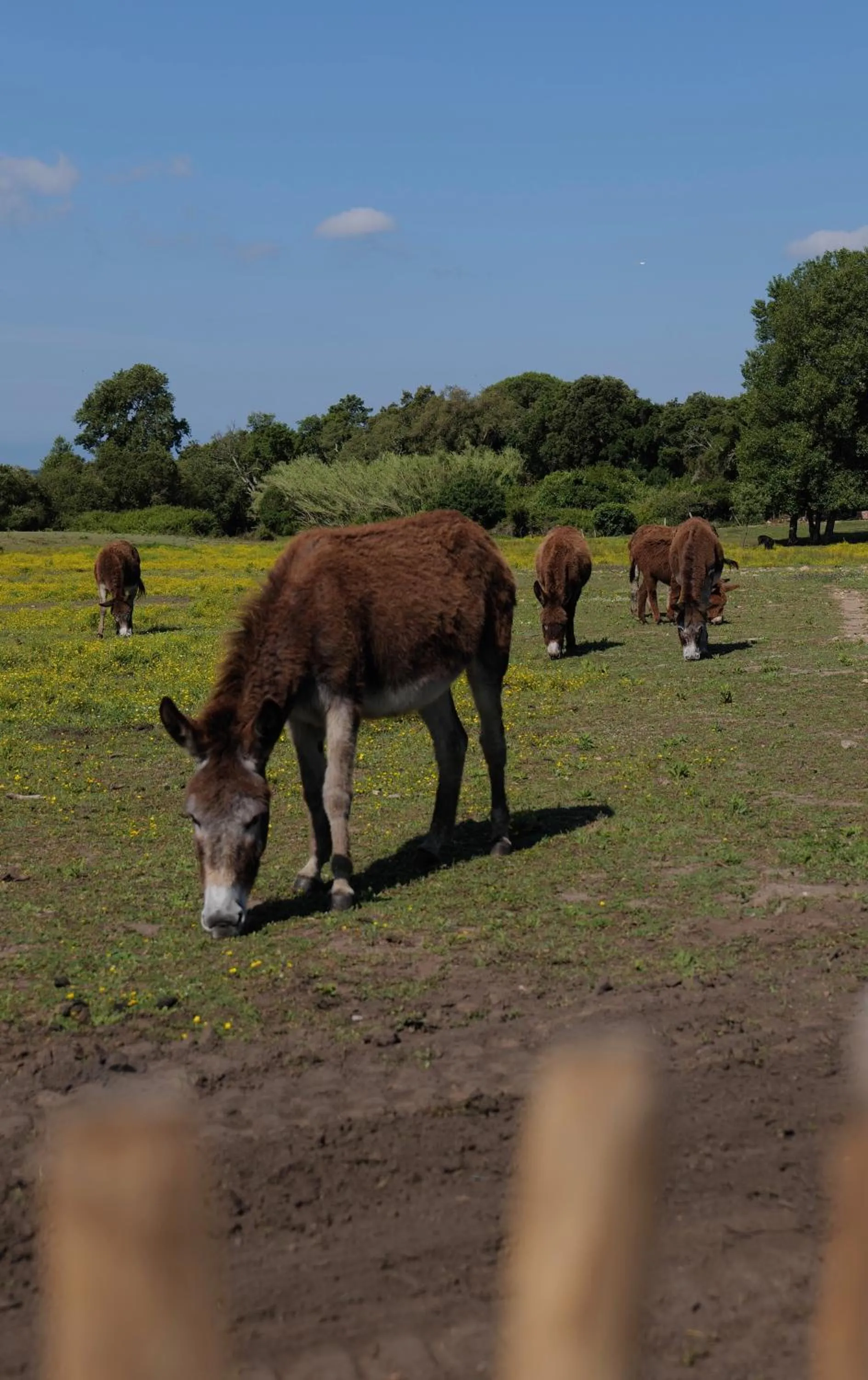 Domaine Pozzo di Mastri hôtel & spa