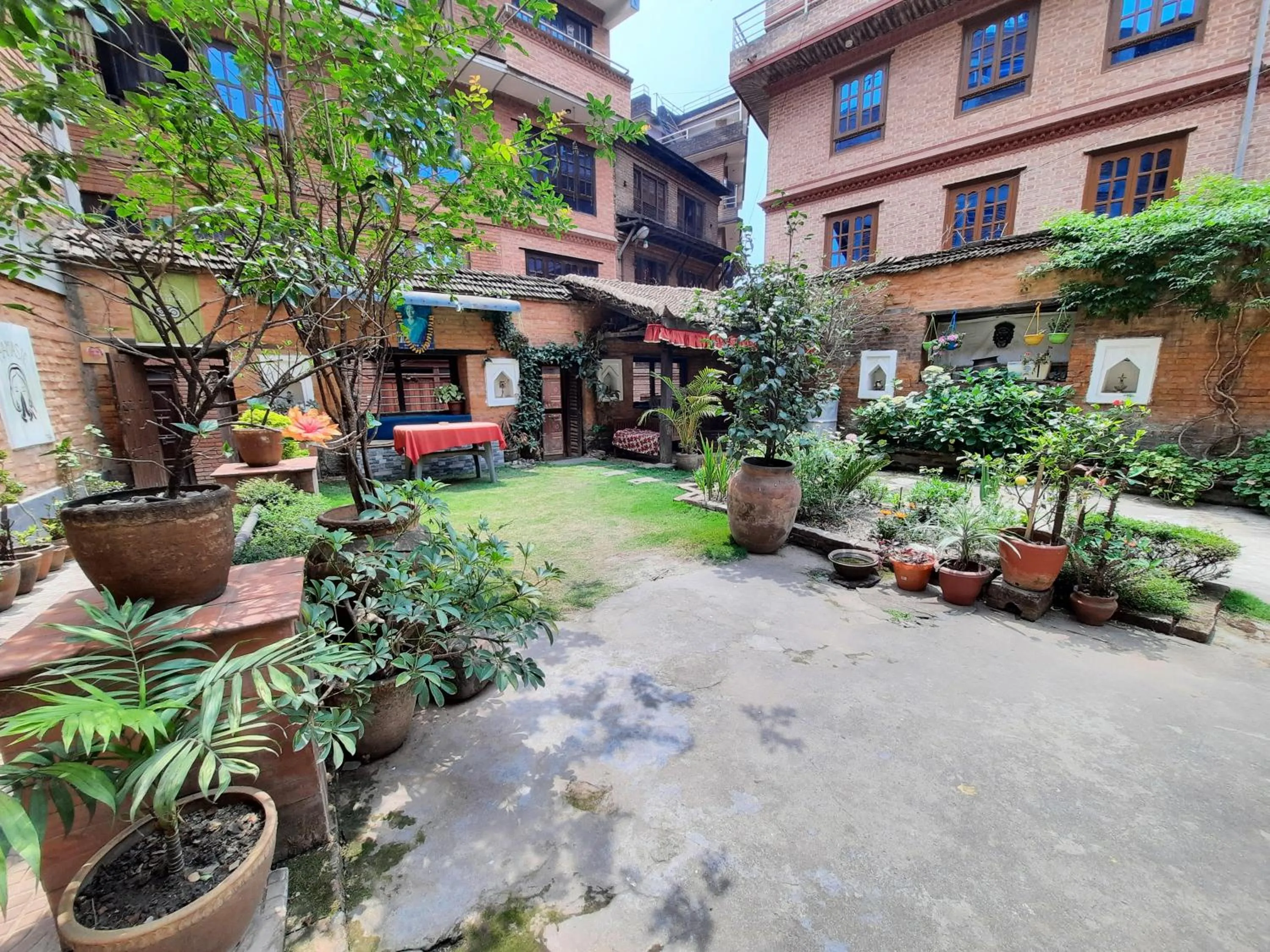 Garden in Pradhan House - Home Stay with Garden