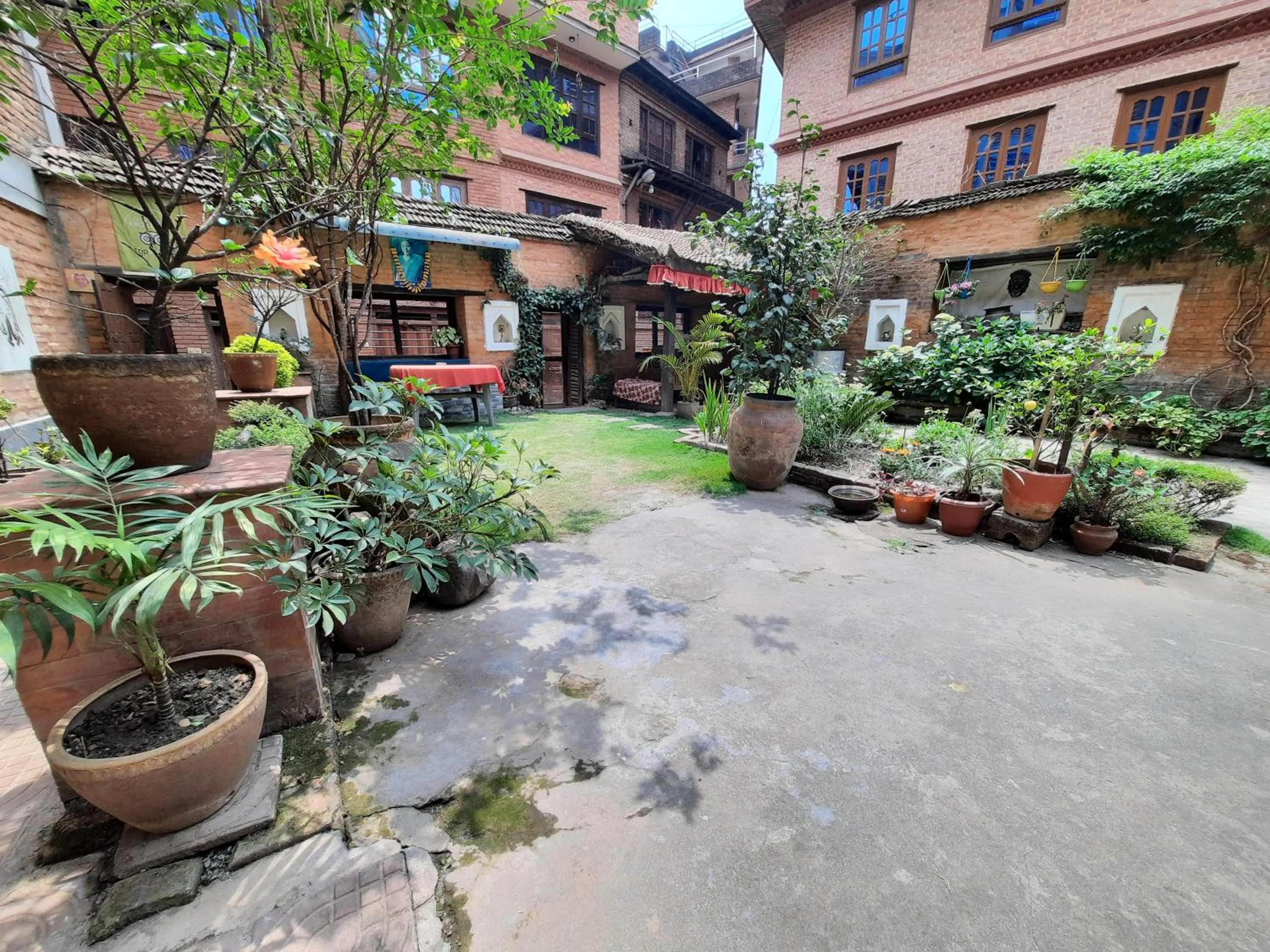 Garden in Pradhan House - Home Stay with Garden