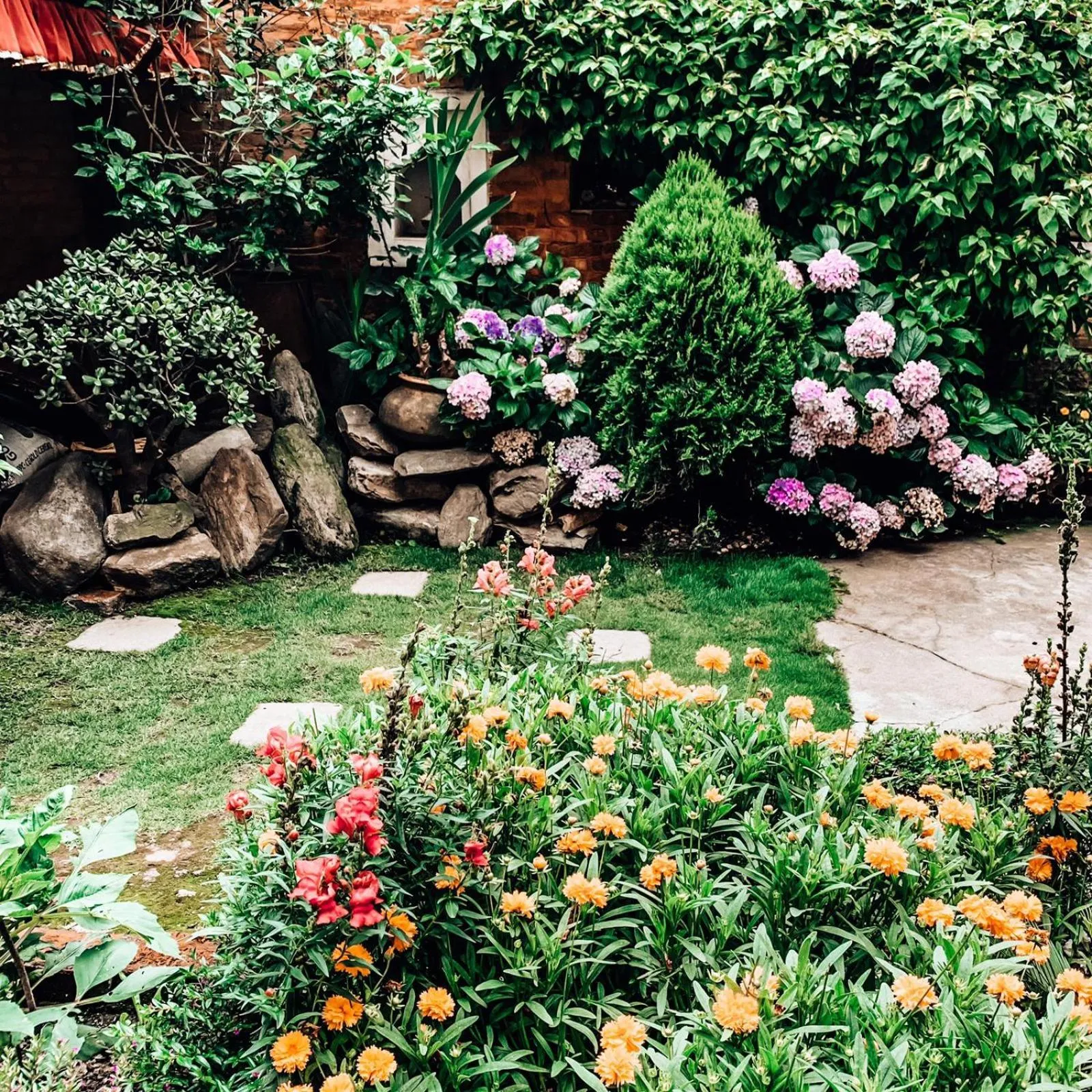 Garden in Pradhan House - Home Stay with Garden