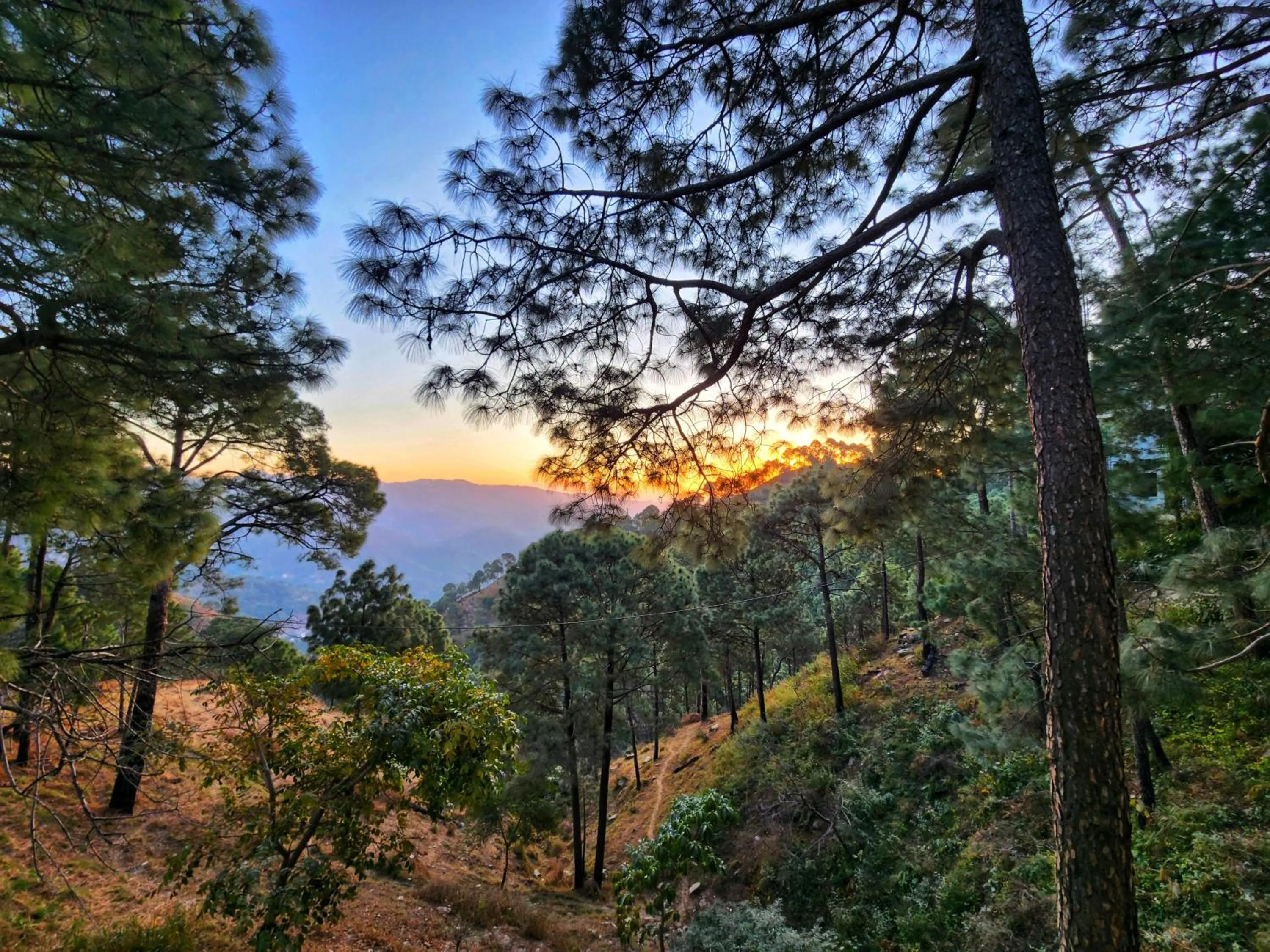 View (from property/room) in The Hamilton Kasauli