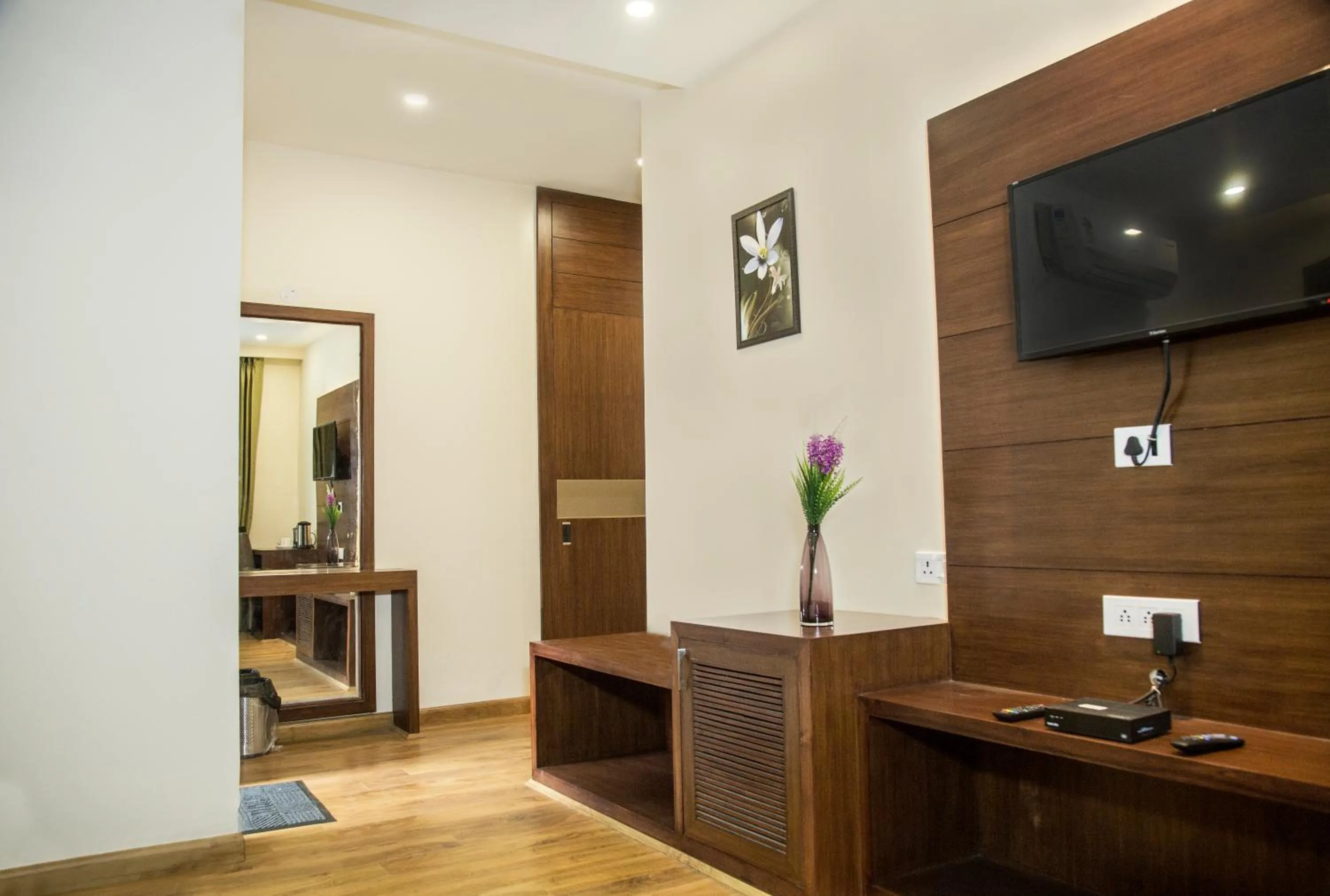 TV and multimedia in Hotel Bahl Regency