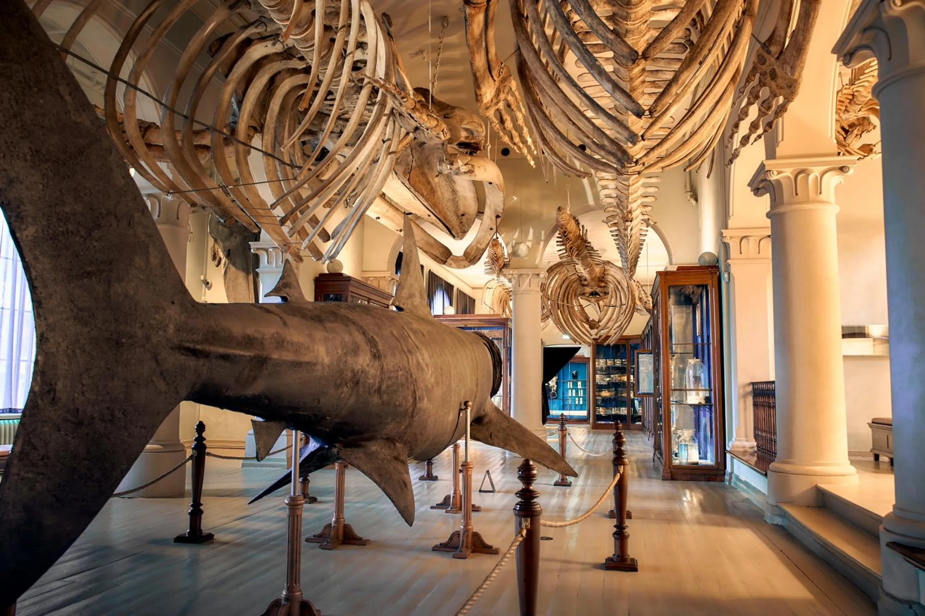 Nearby landmark in Hotel Oleana