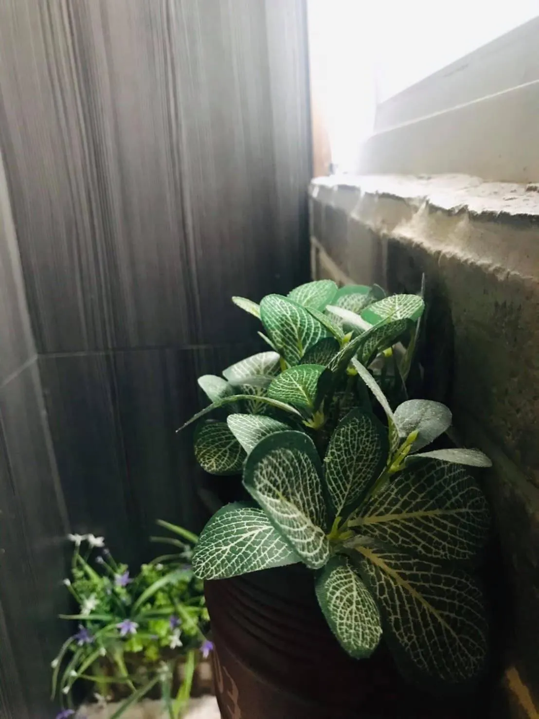 Decorative detail in Kenting My Home