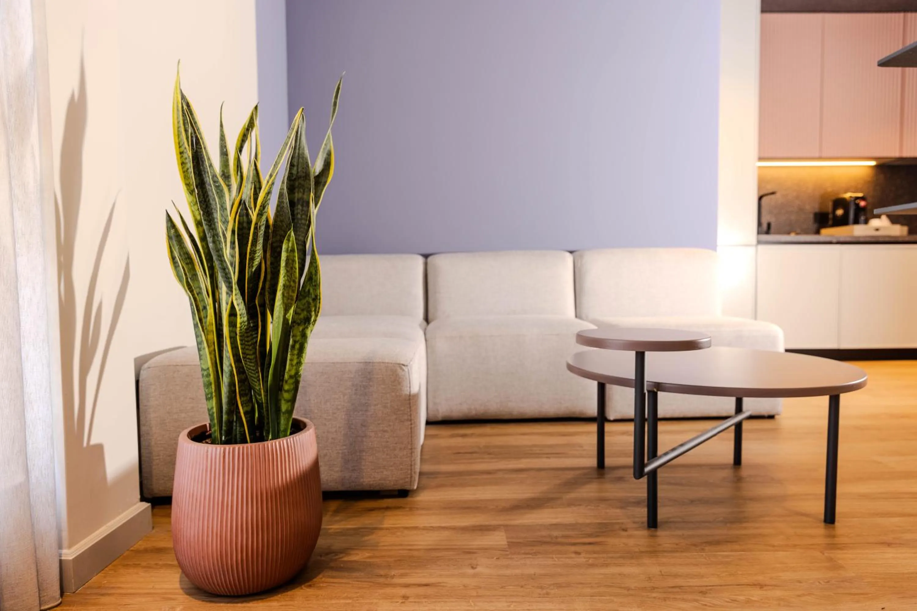 Seating area in Si Hotel Tirana