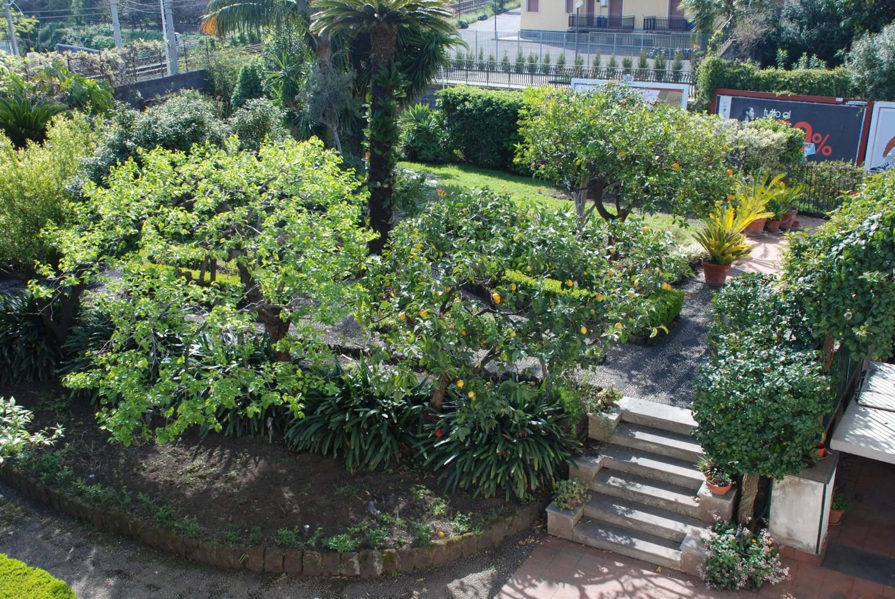 Garden view in B&B Villa Maria