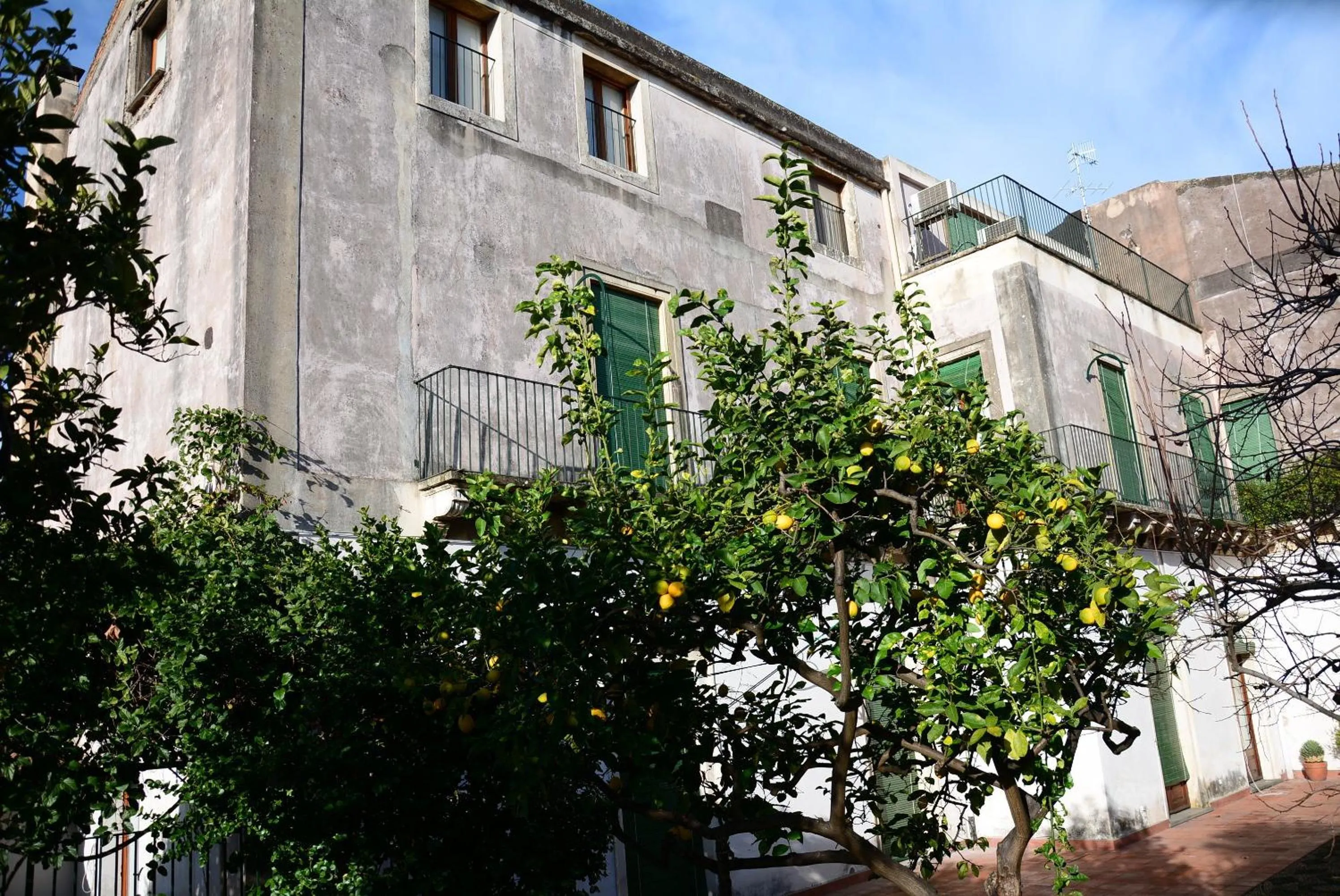 Garden view in B&B Villa Maria