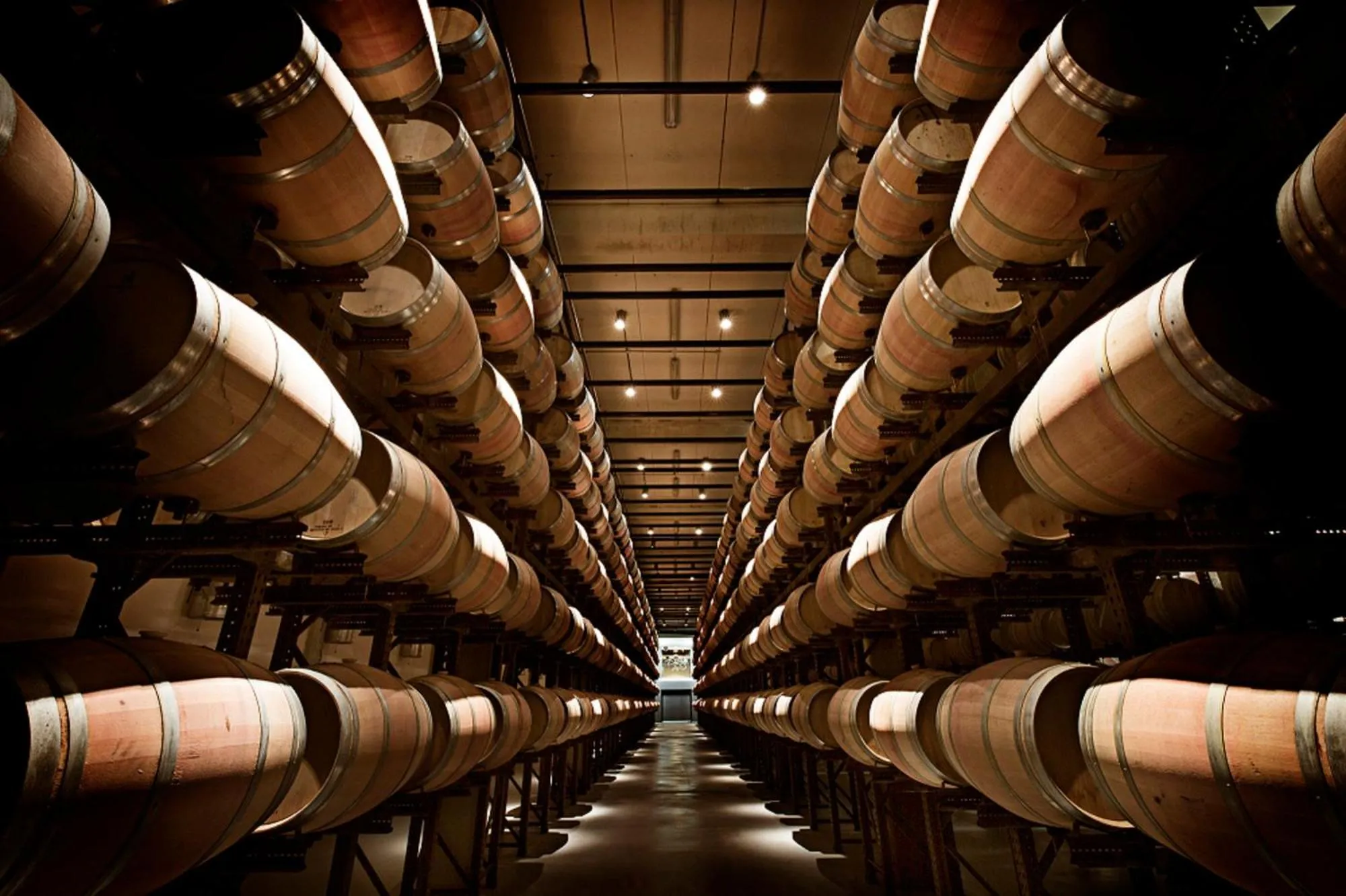 Area and facilities in Abadia Retuerta LeDomaine